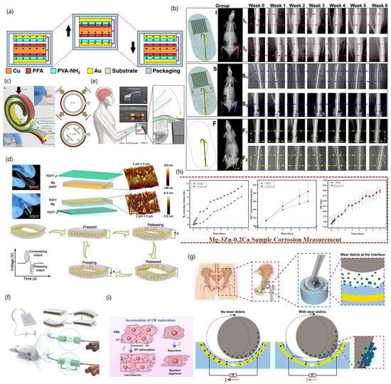 Biosensors 13 00423 g009