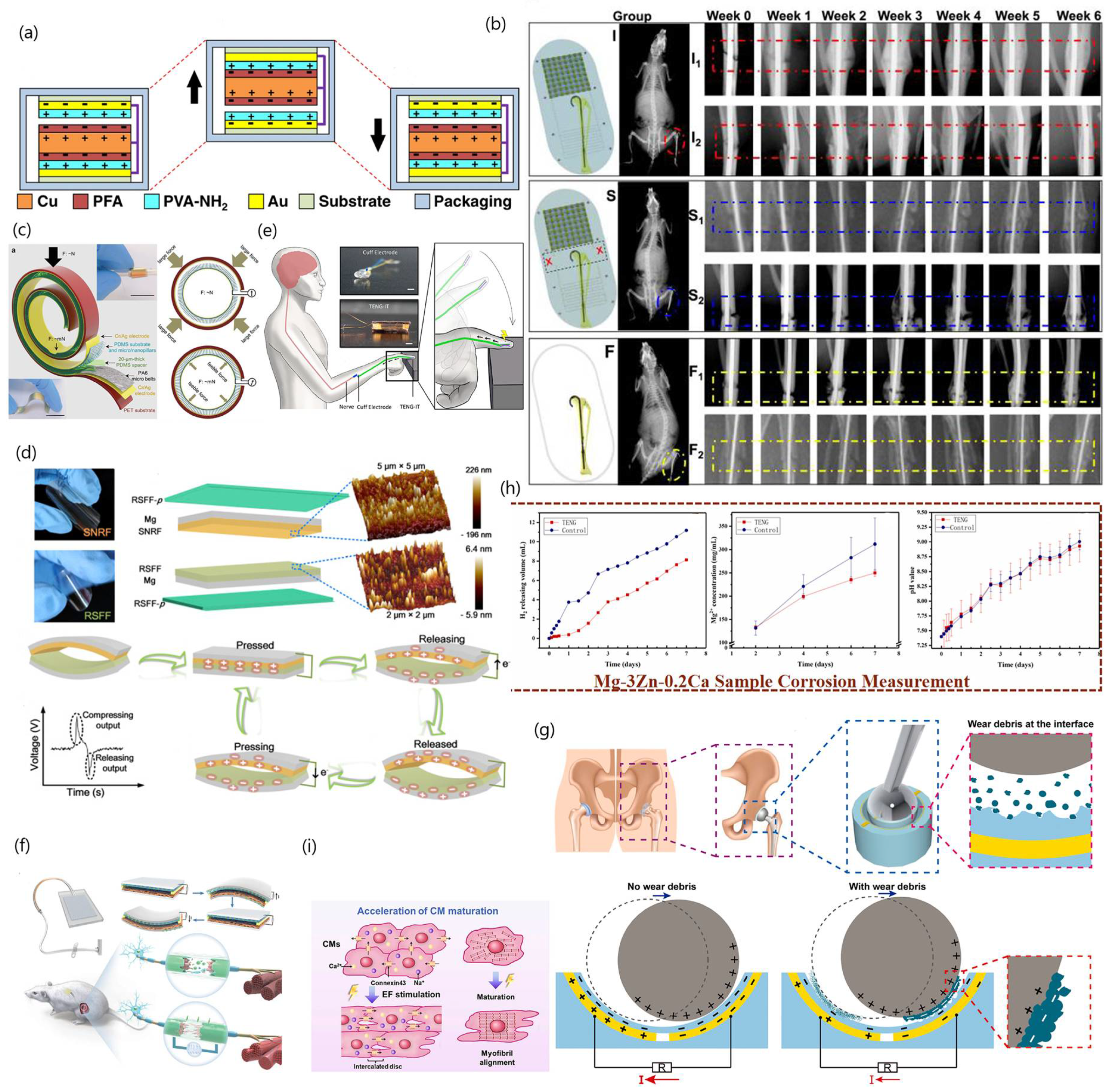 Biosensors 13 00423 g009
