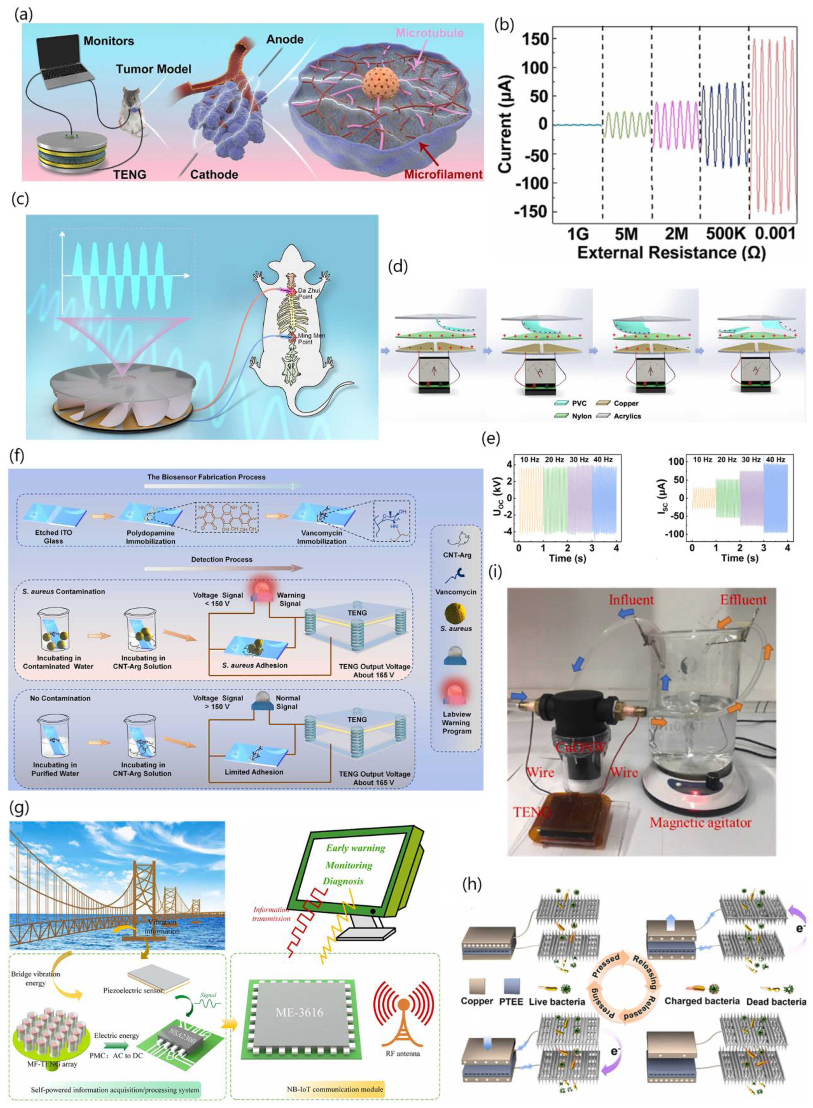 Biosensors 13 00423 g010