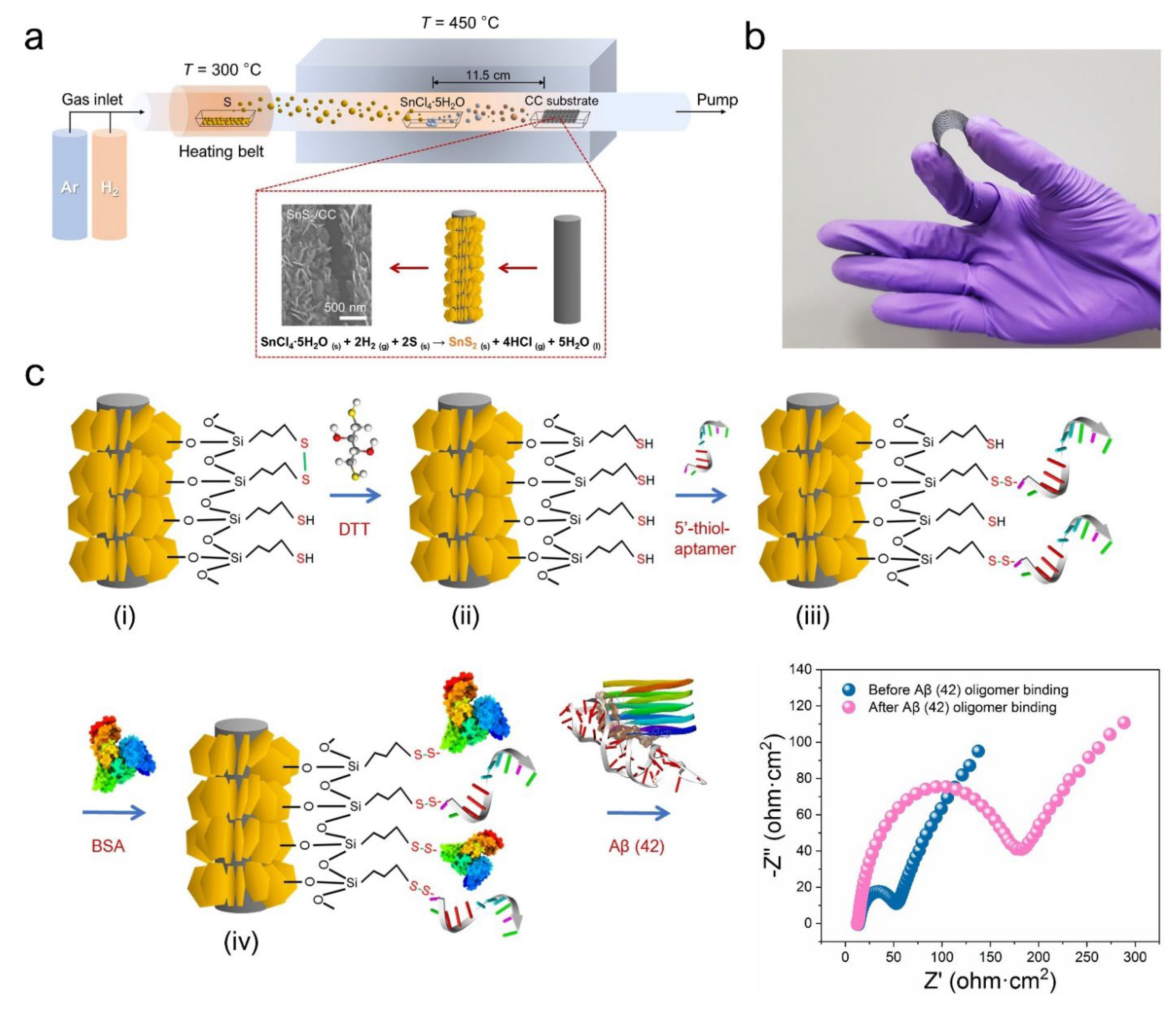 Biosensors 13 00424 g002 Biosensors 13 00424 g002