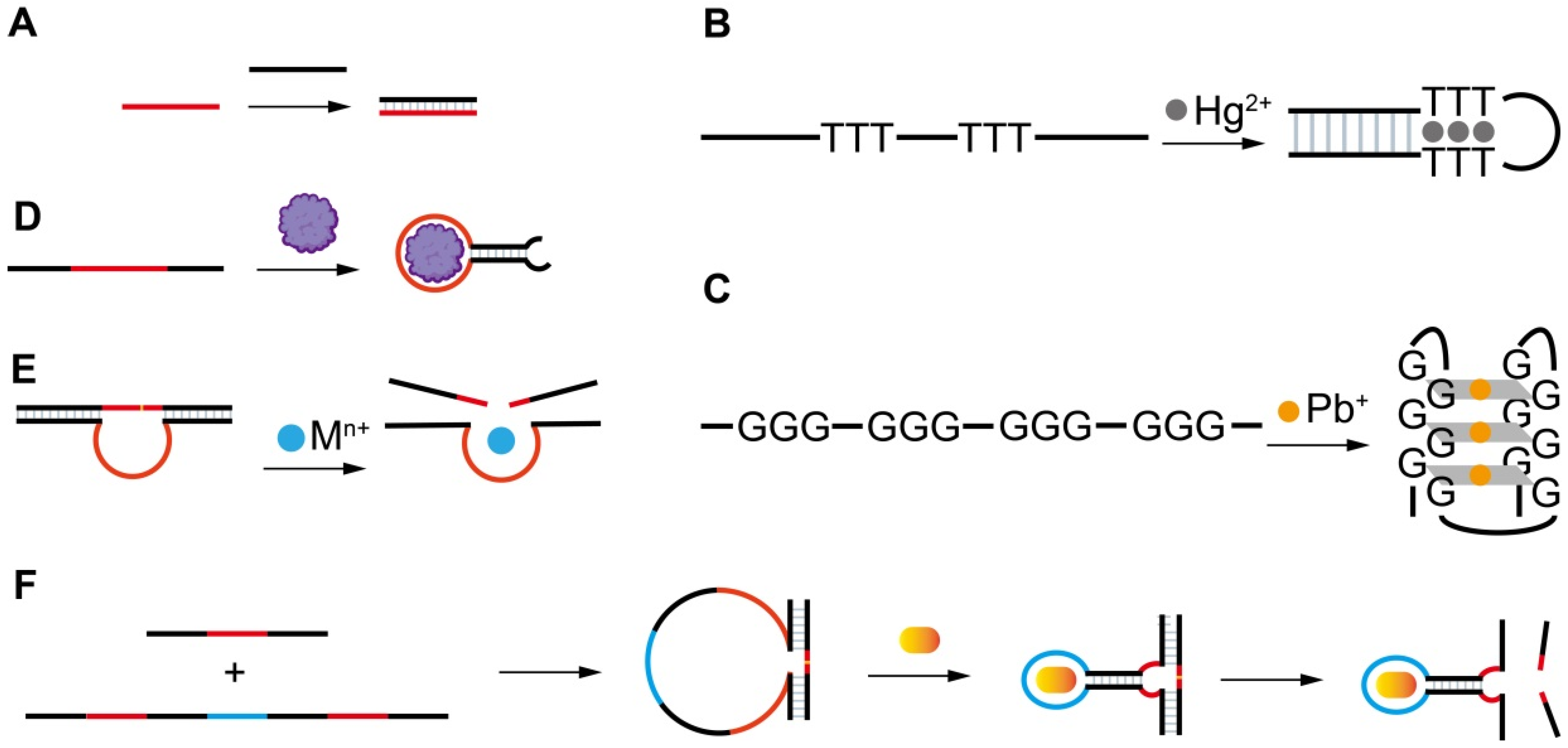 Biosensors 13 00425 g002