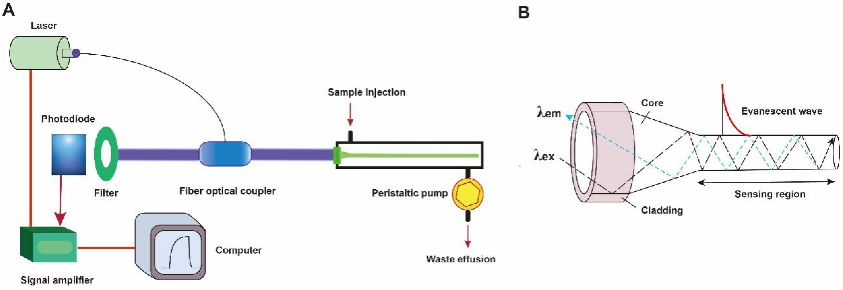 Biosensors 13 00425 g003