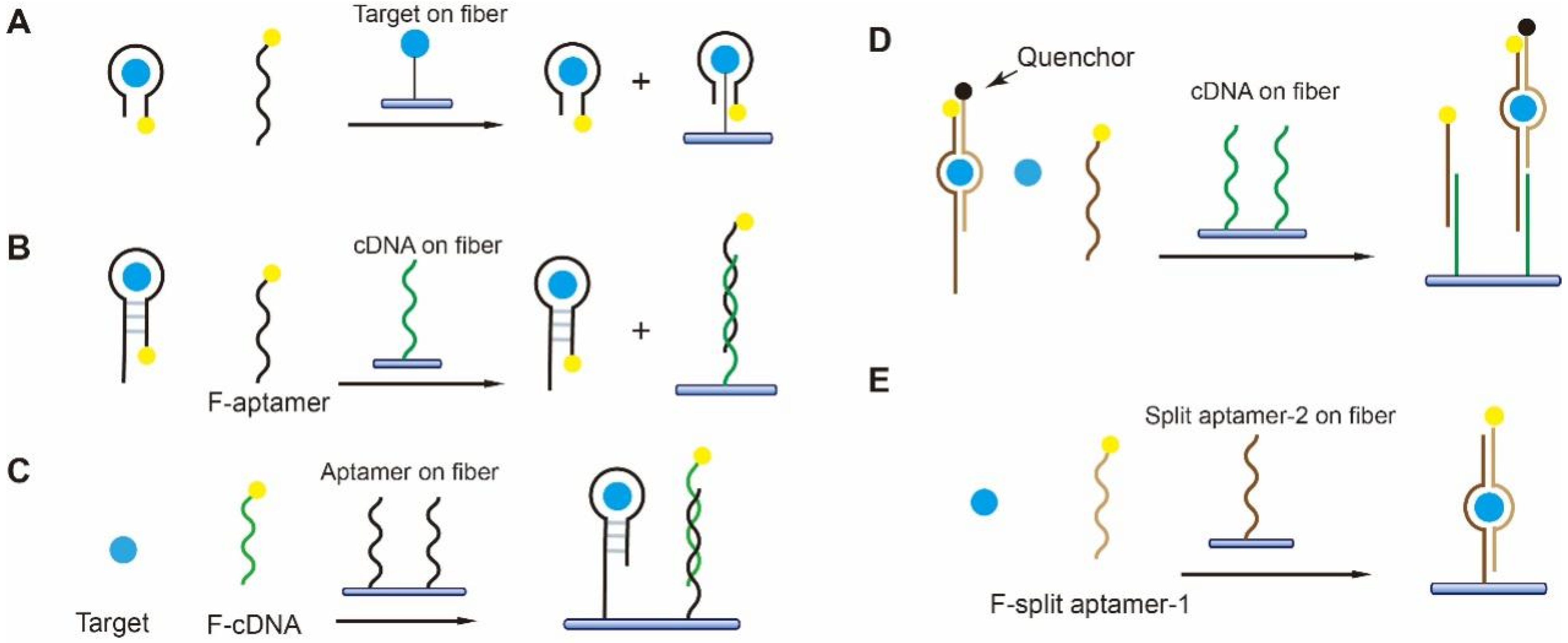 Biosensors 13 00425 g009