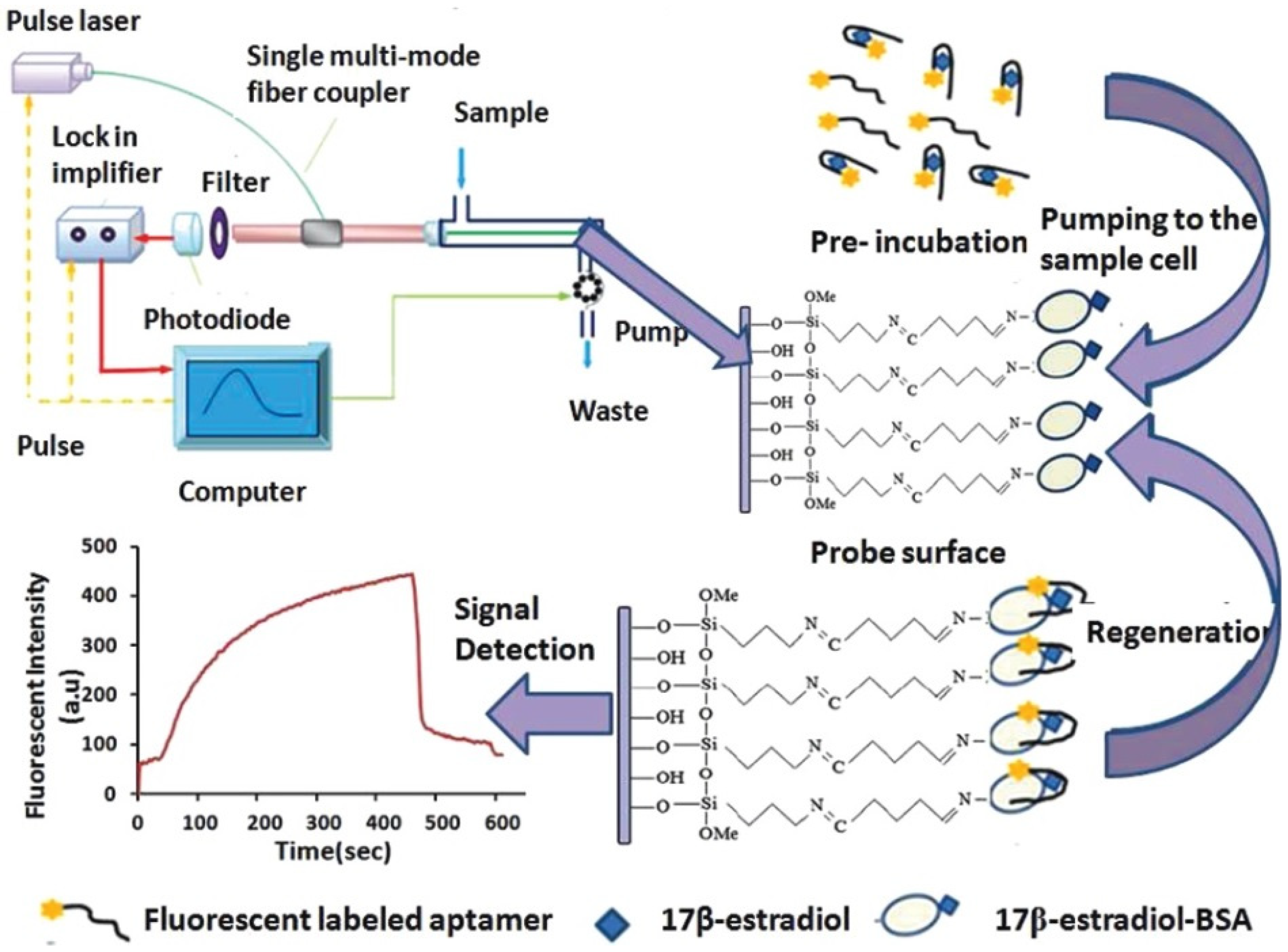 Biosensors 13 00425 g010