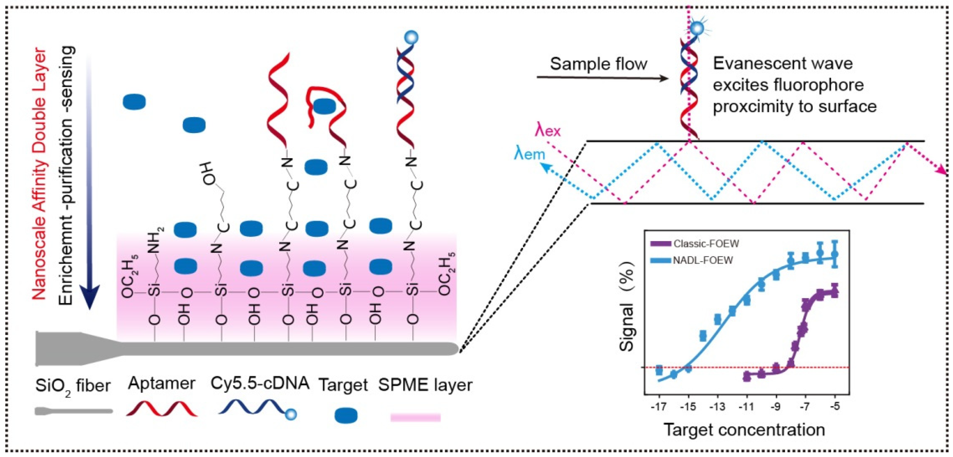 Biosensors 13 00425 g011