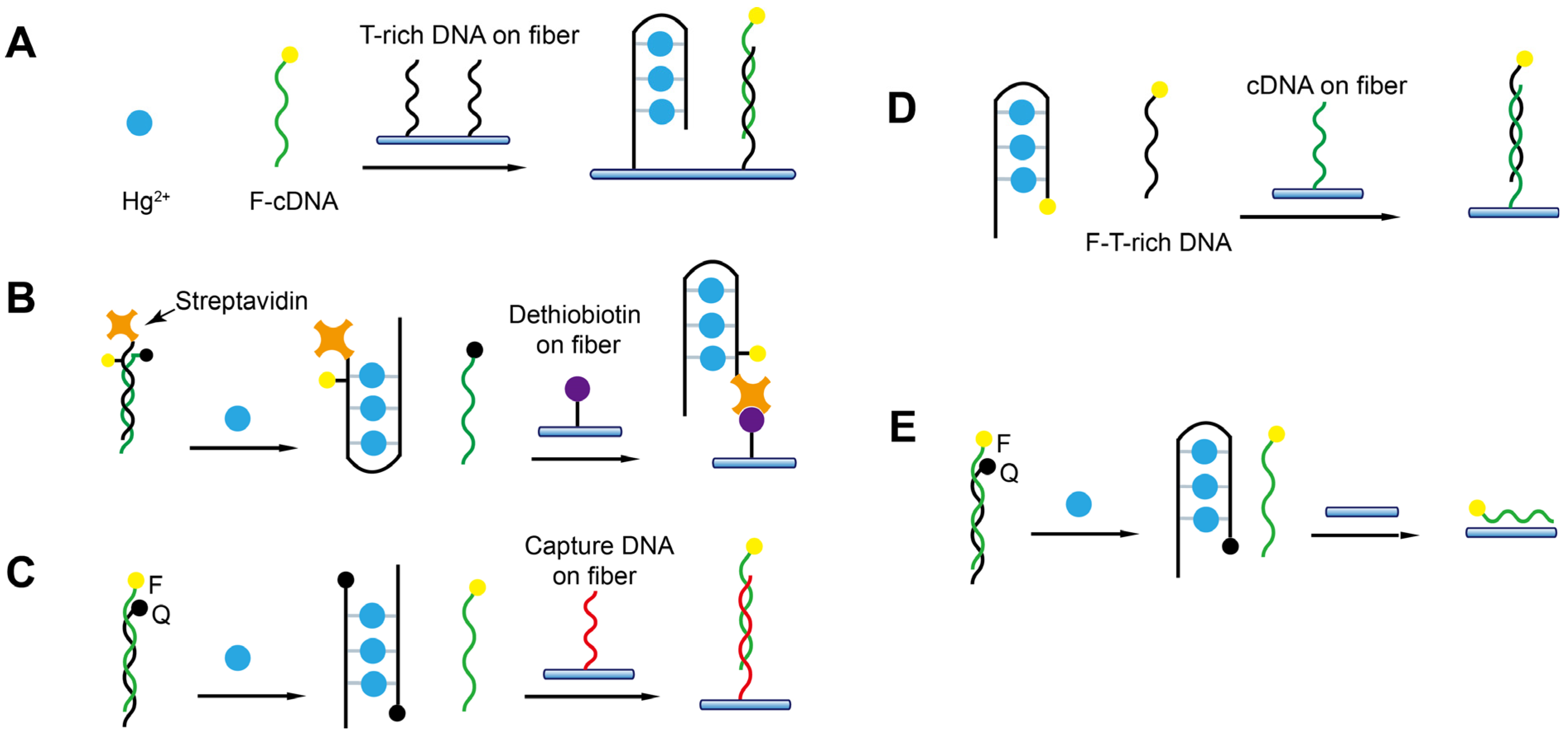 Biosensors 13 00425 g014