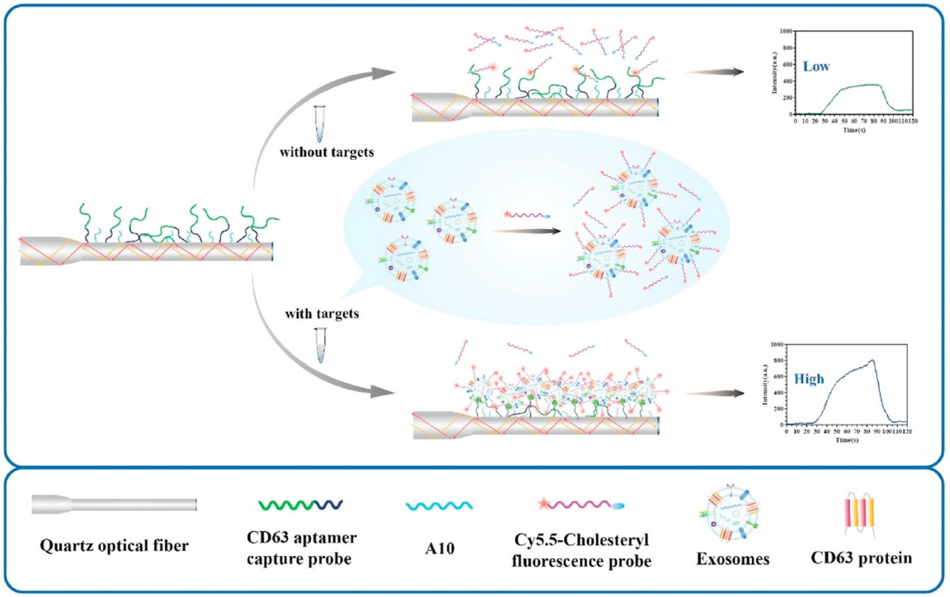 Biosensors 13 00425 g016