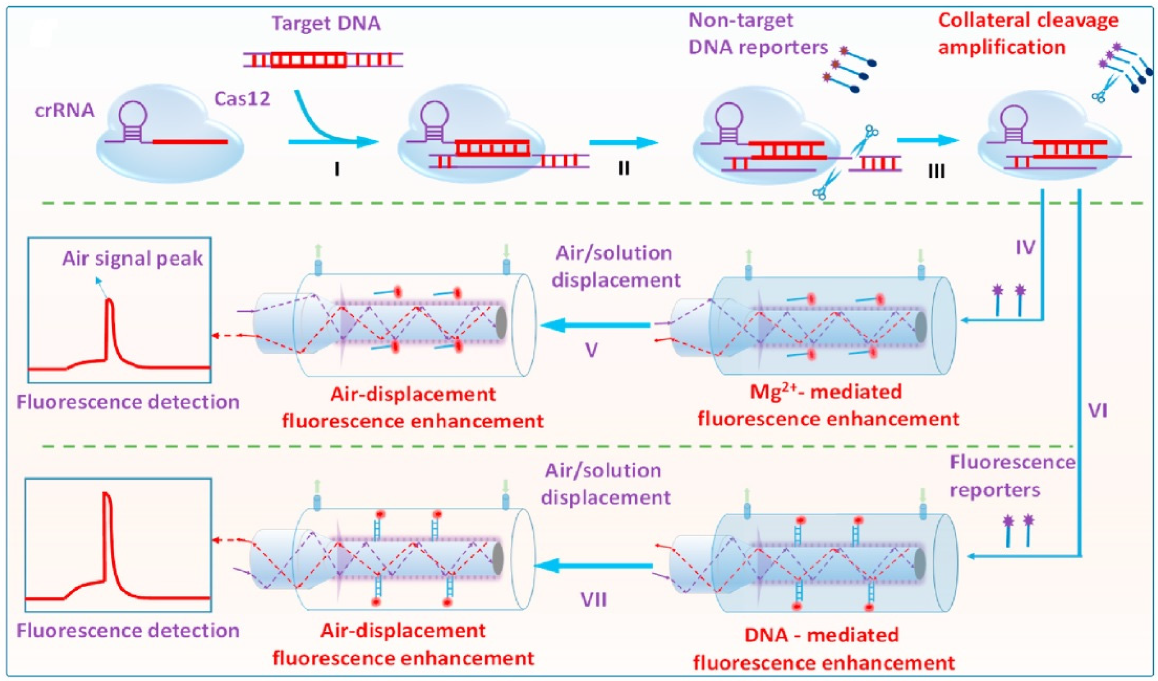 Biosensors 13 00425 g017