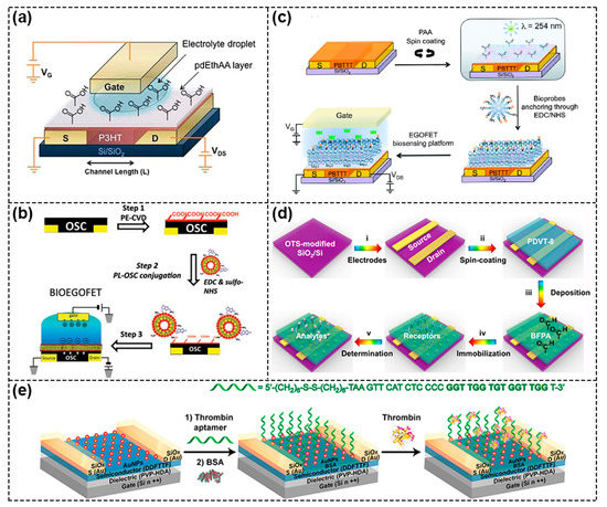 Biosensors 13 00426 g004