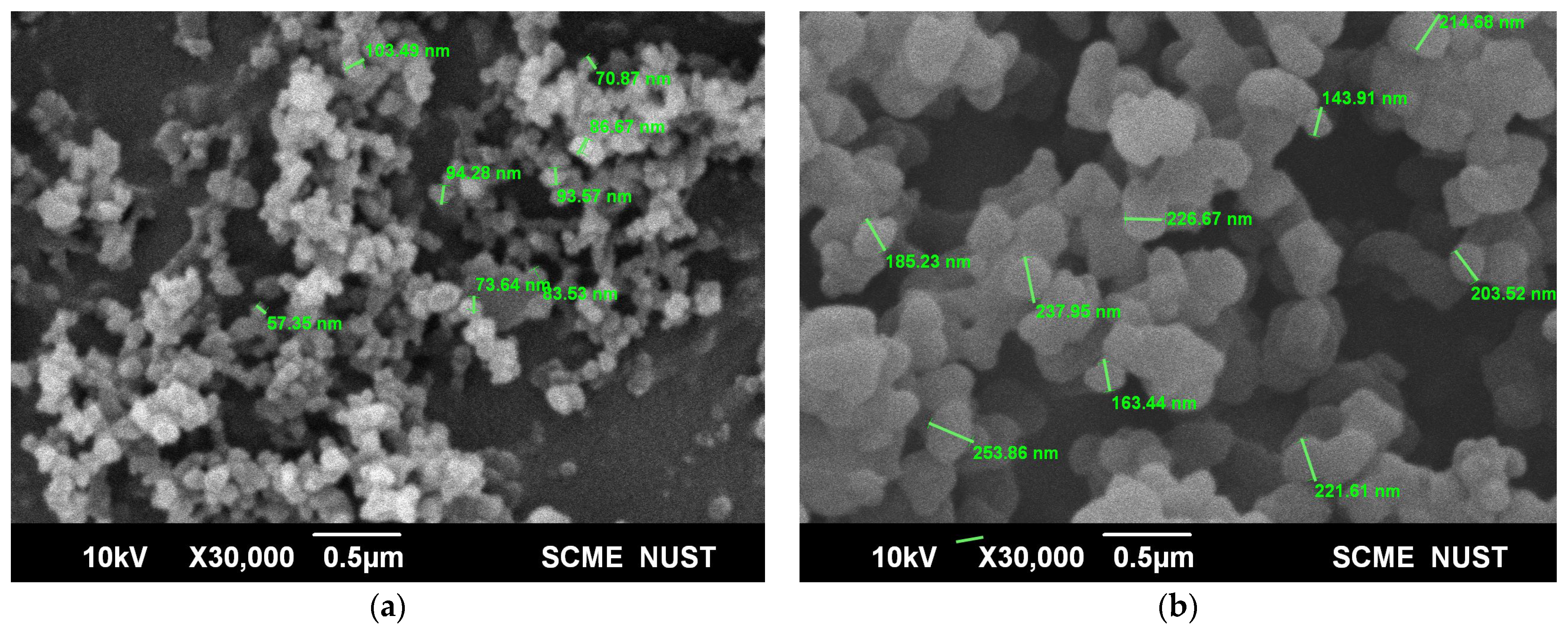Biosensors 13 00429 g001