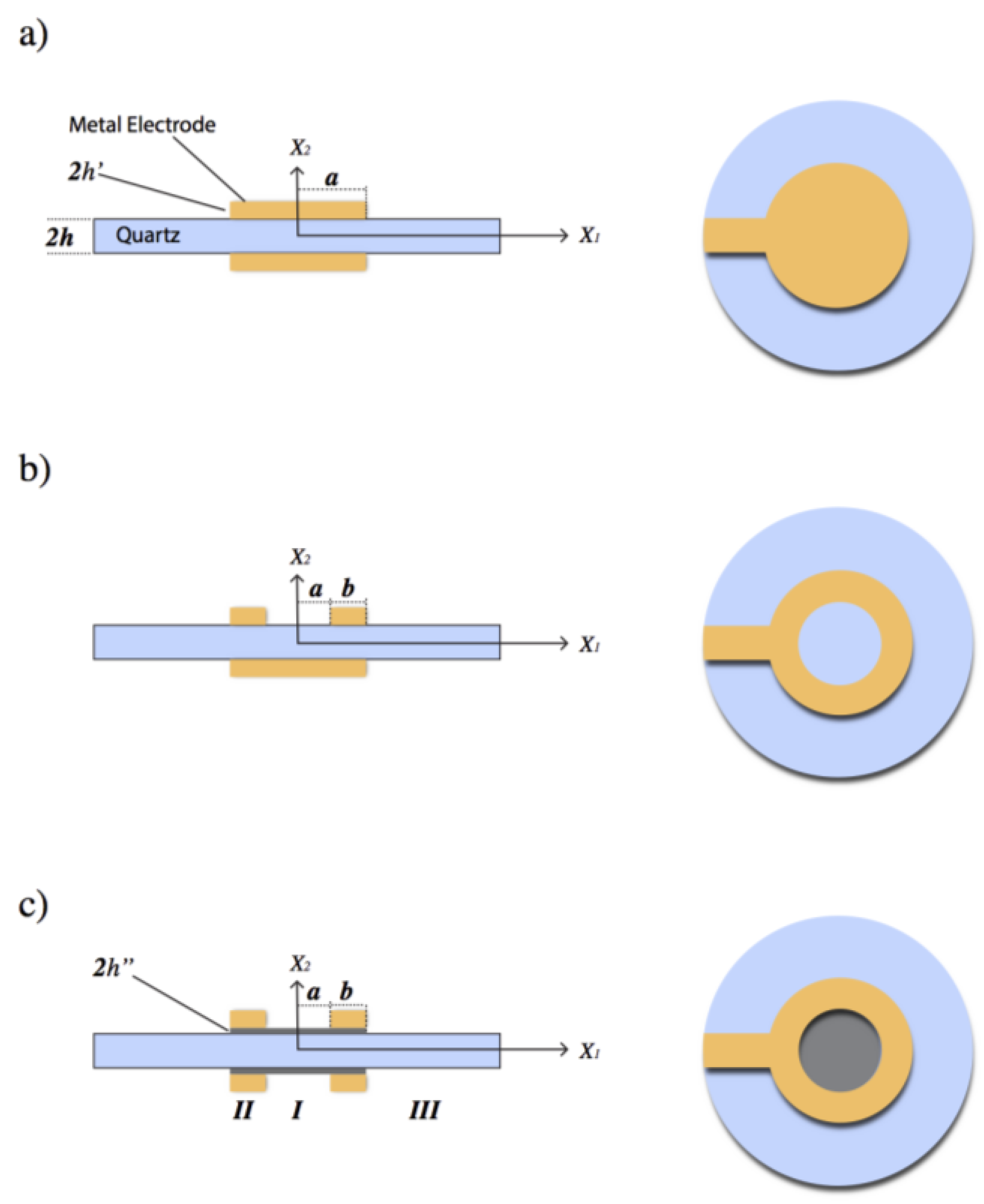 Biosensors 13 00433 g001