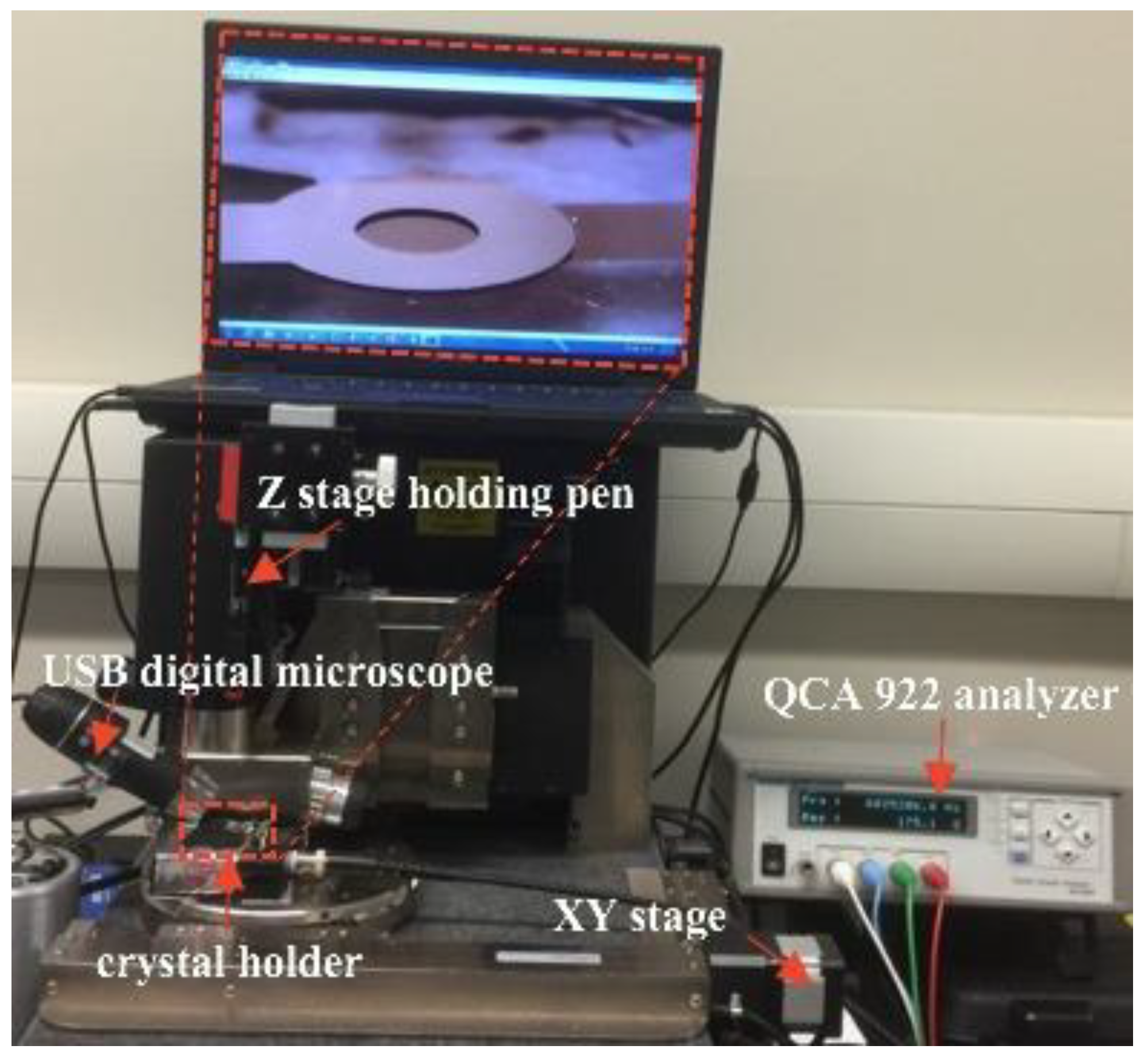 Biosensors 13 00433 g002