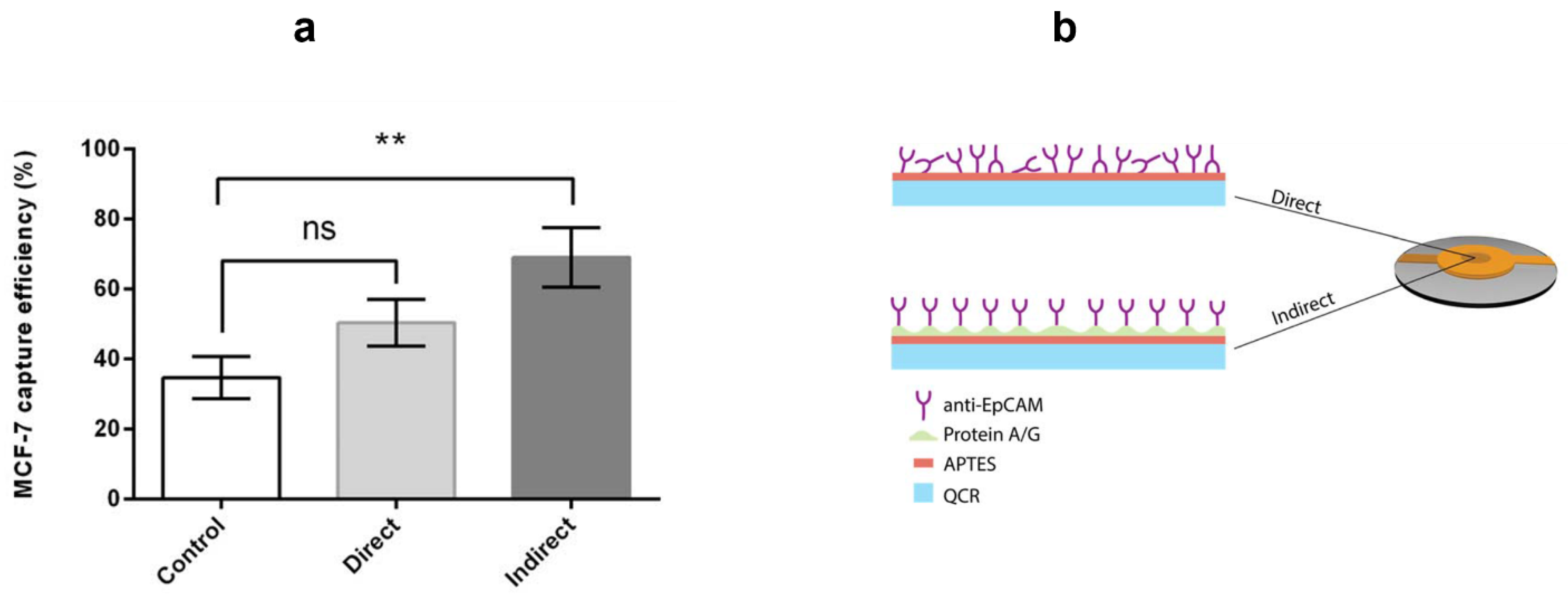 Biosensors 13 00433 g006