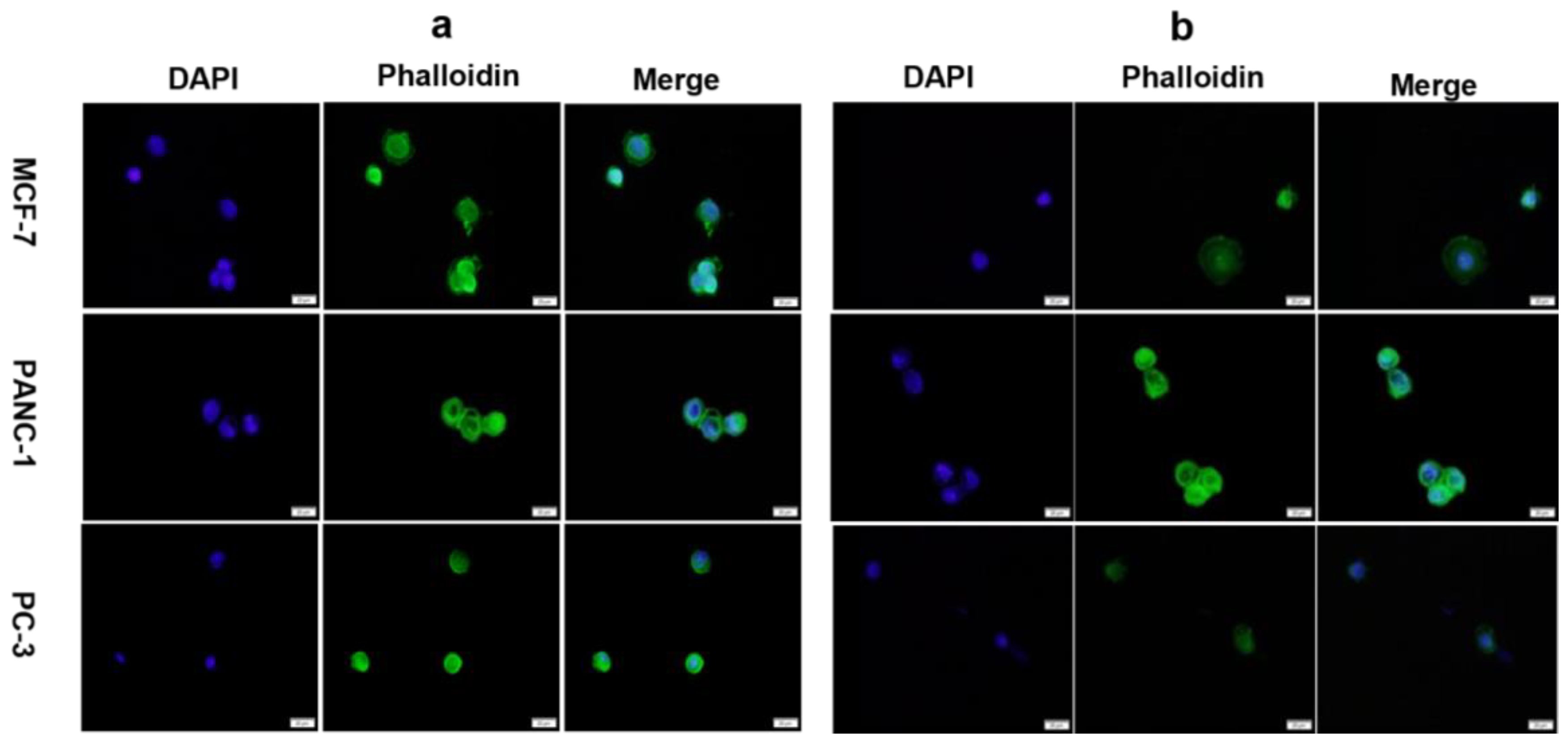 Biosensors 13 00433 g007