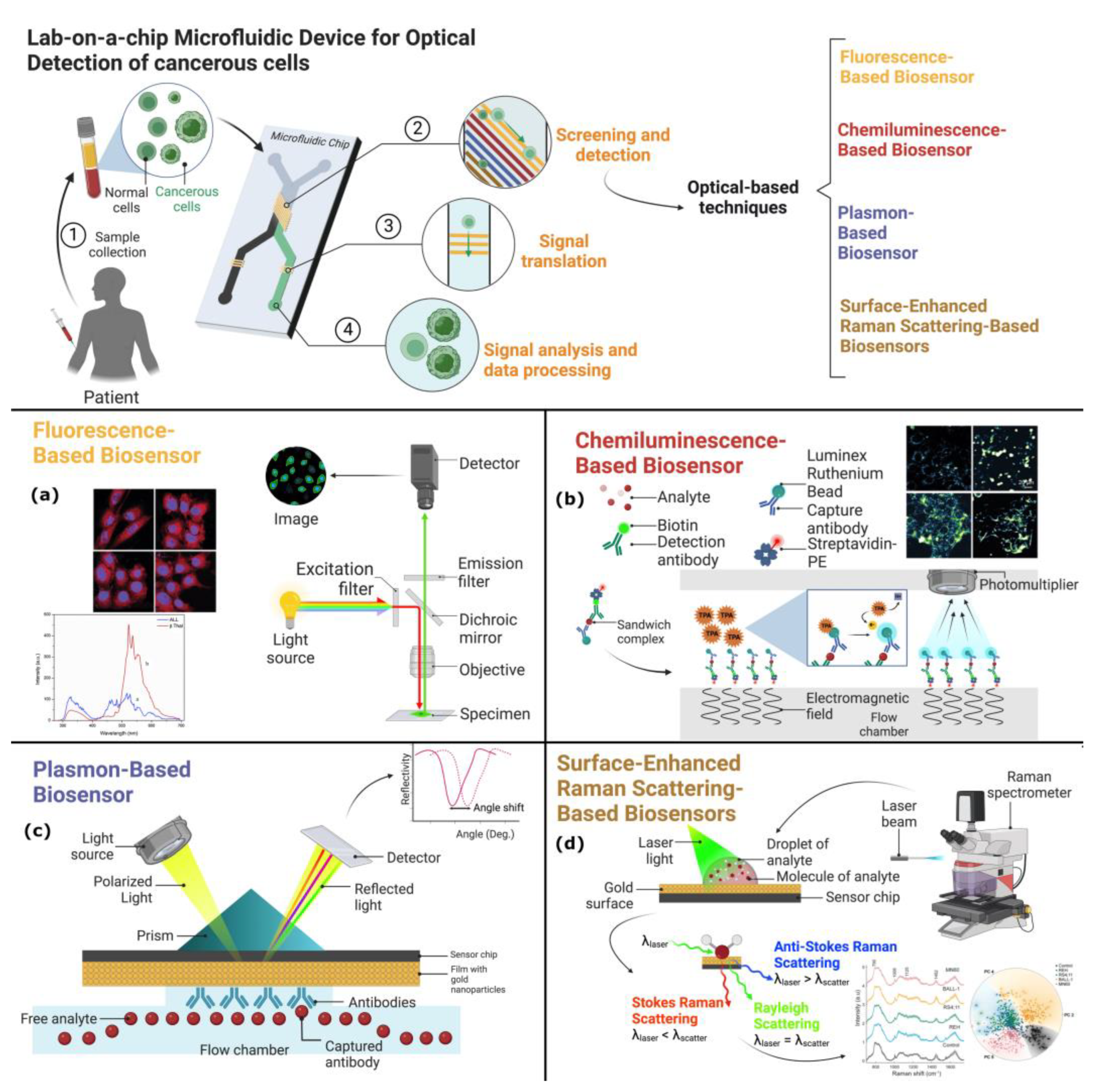 Biosensors 13 00439 g001