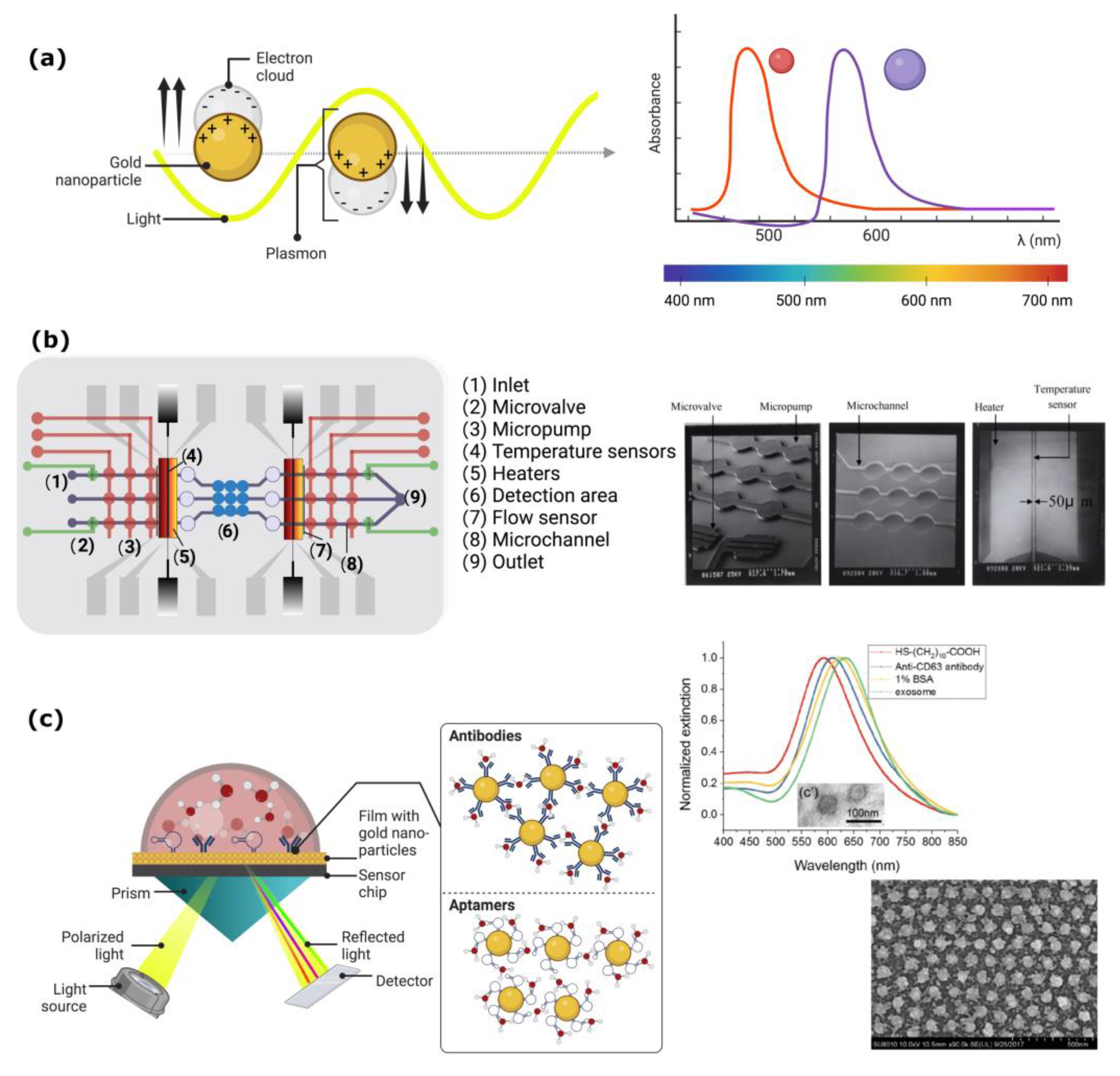 Biosensors 13 00439 g004