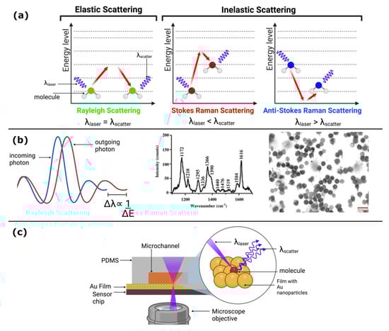 Biosensors 13 00439 g005