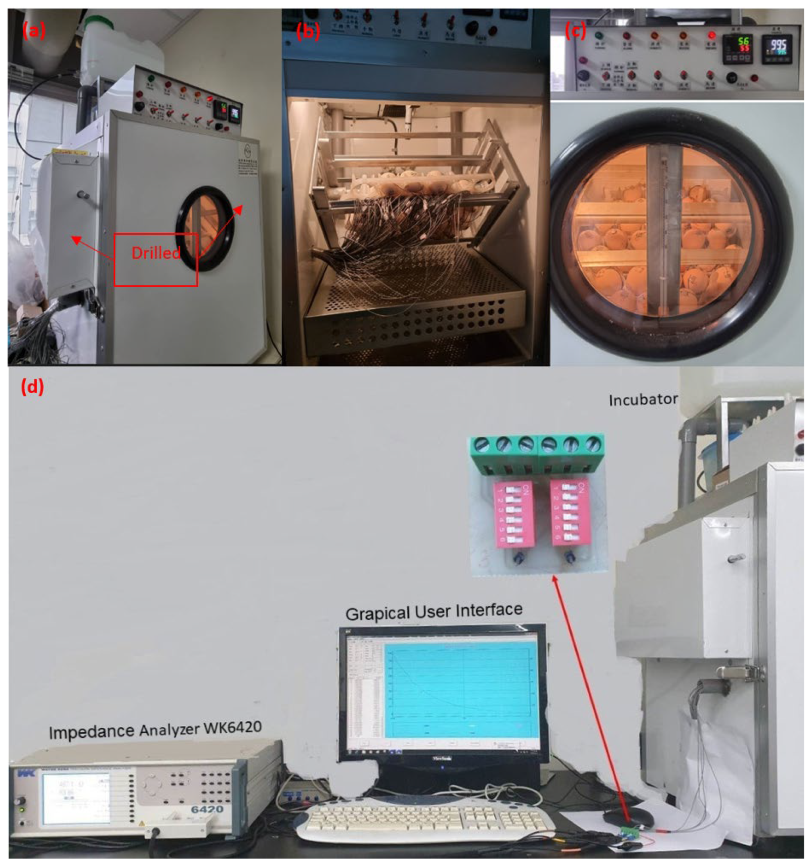 Biosensors 13 00440 g002