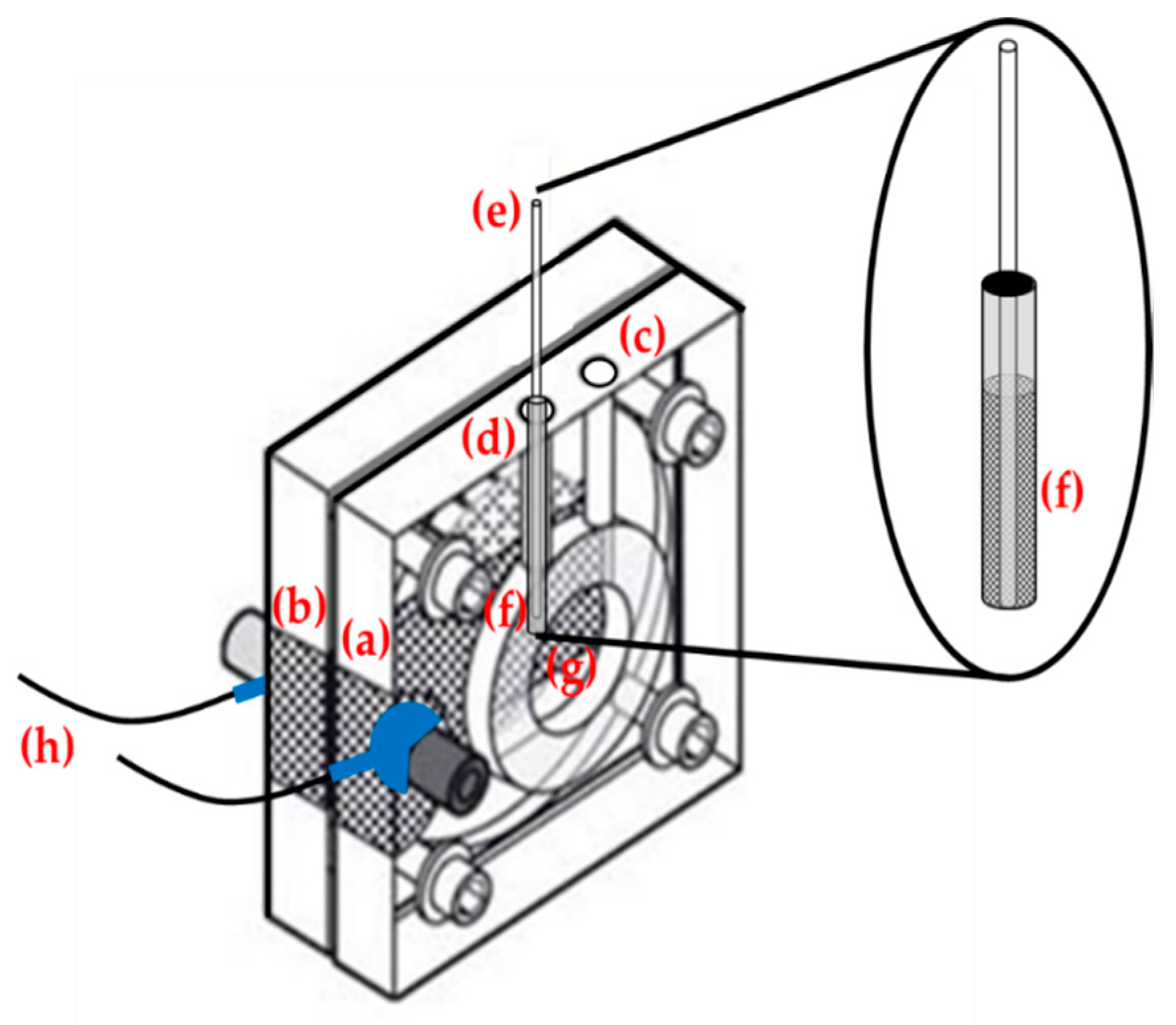 Biosensors 13 00441 g001