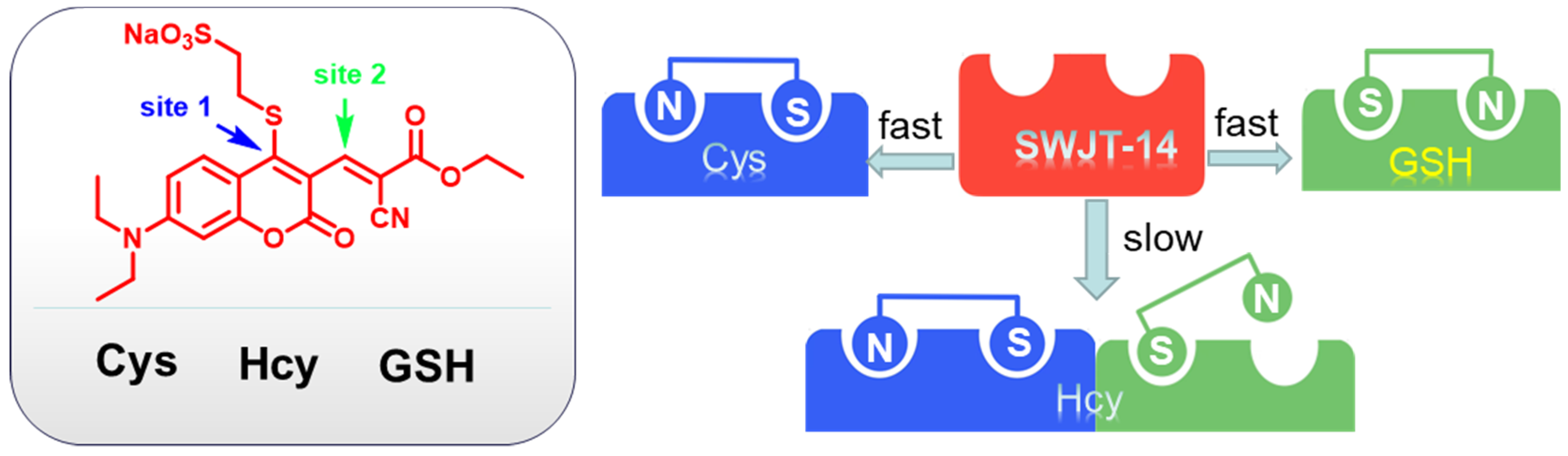Biosensors 13 00447 sch001