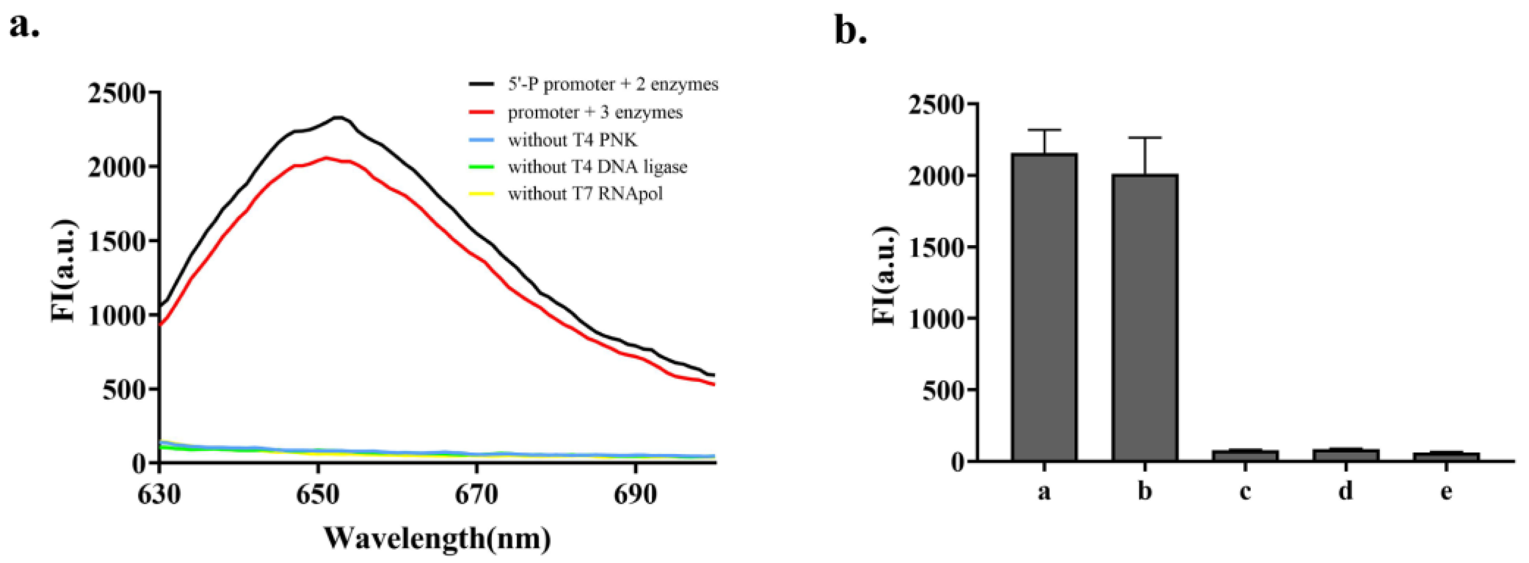 Biosensors 13 00449 g001