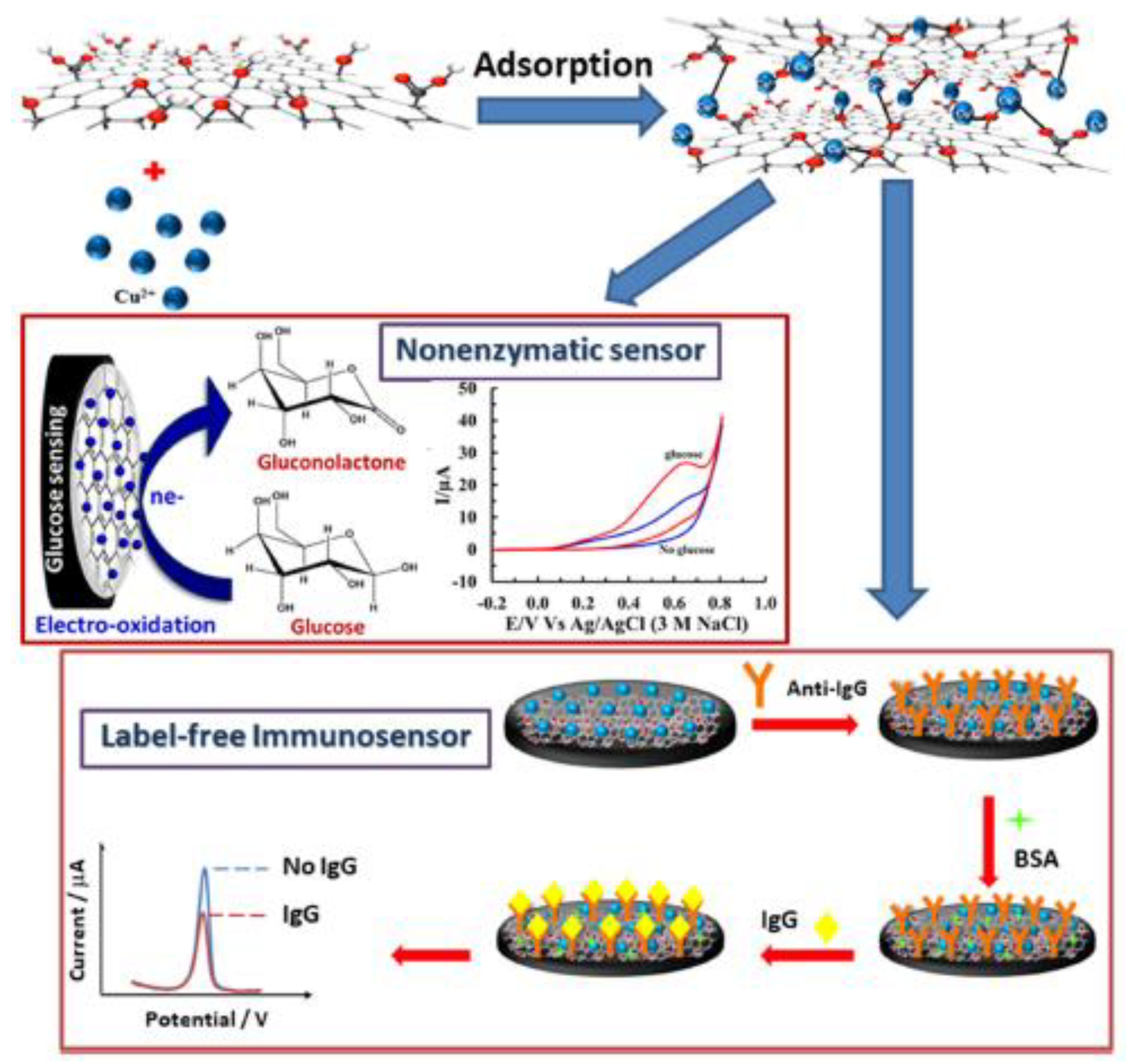 Biosensors 13 00453 g003
