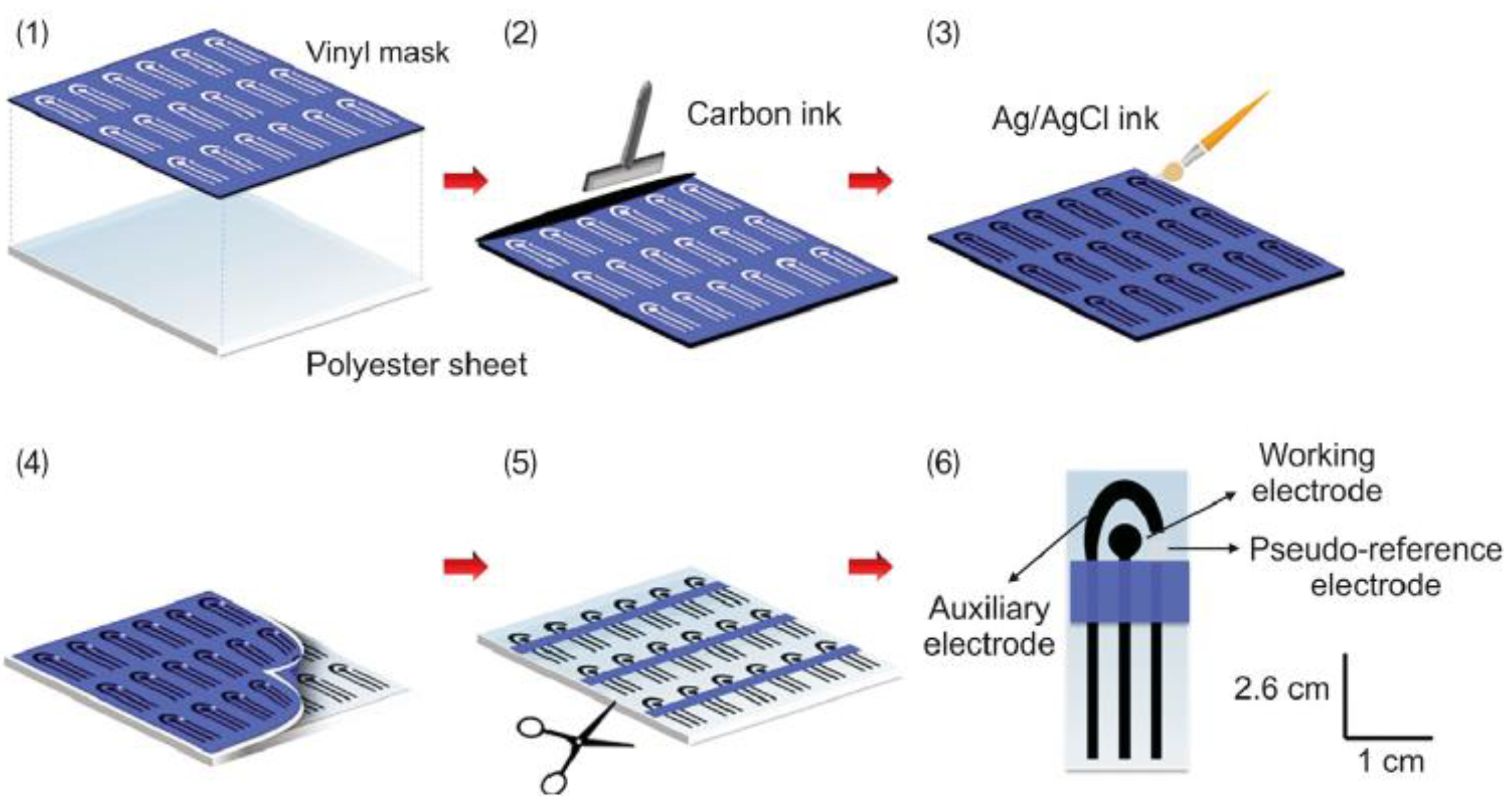 Biosensors 13 00453 g004