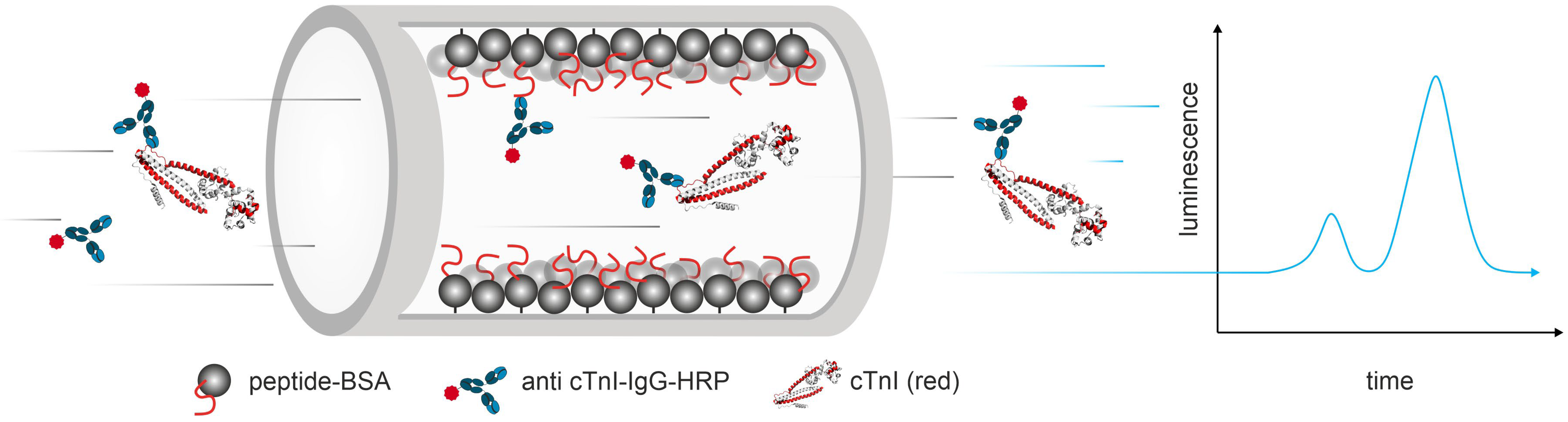 Biosensors 13 00455 g001
