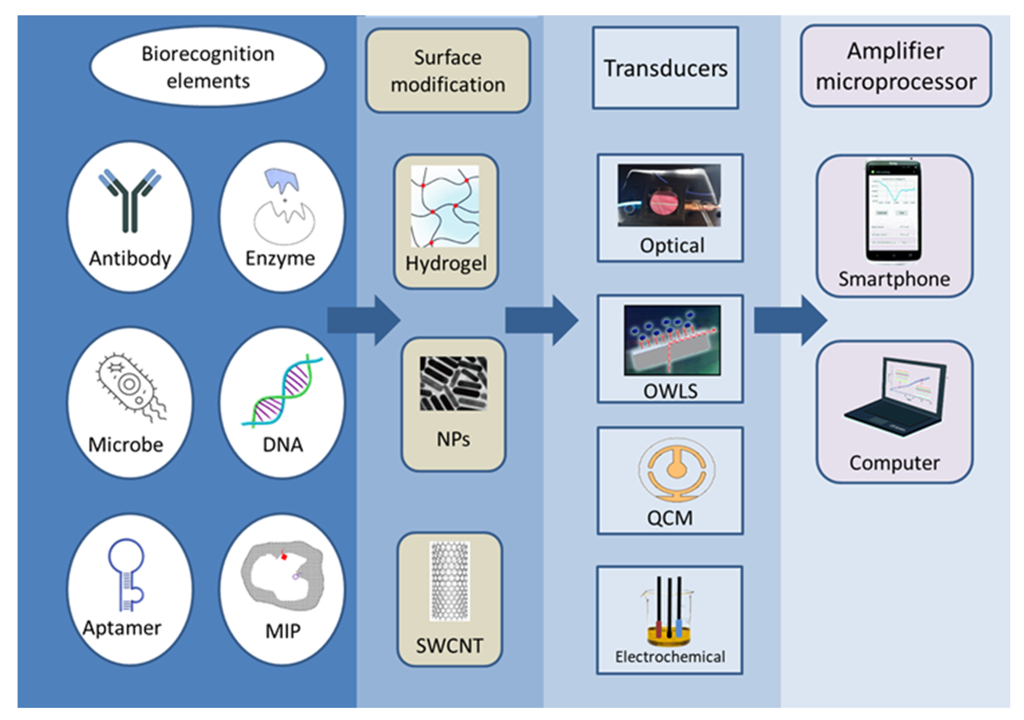 Biosensors 13 00456 g002