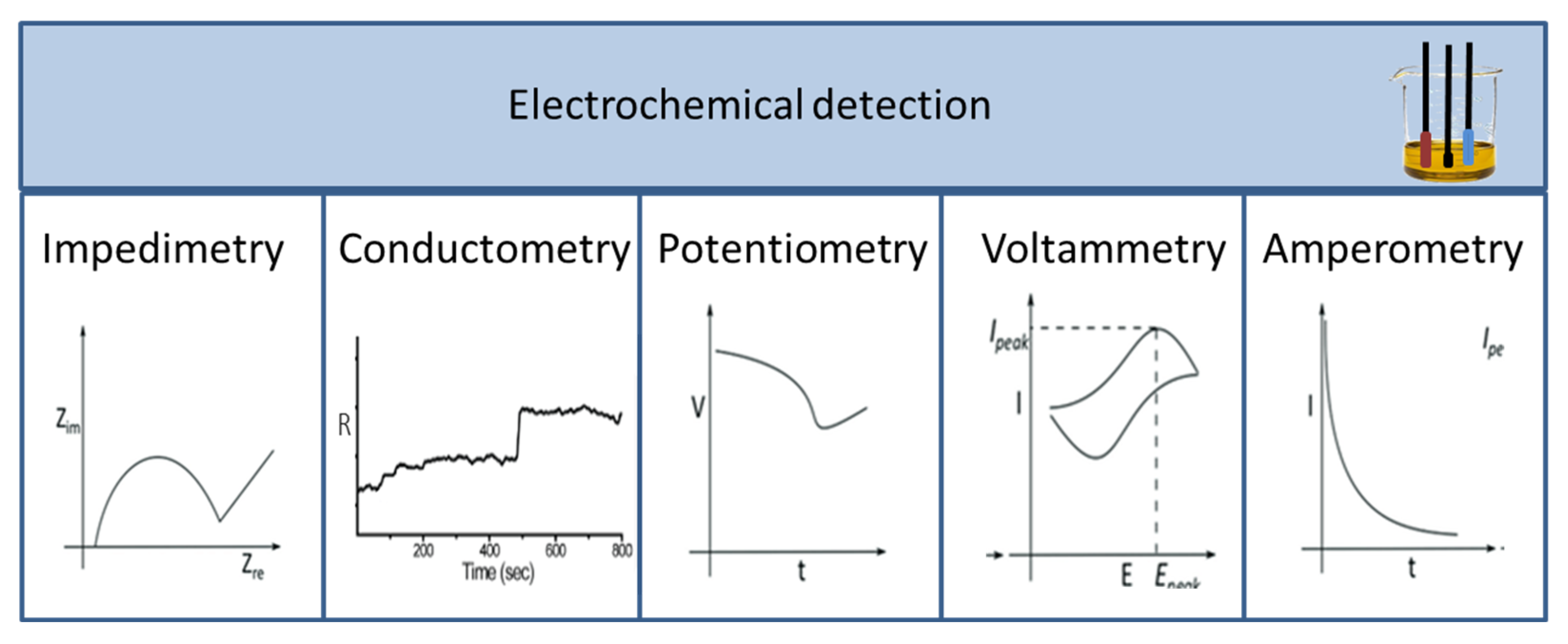Biosensors 13 00456 g003