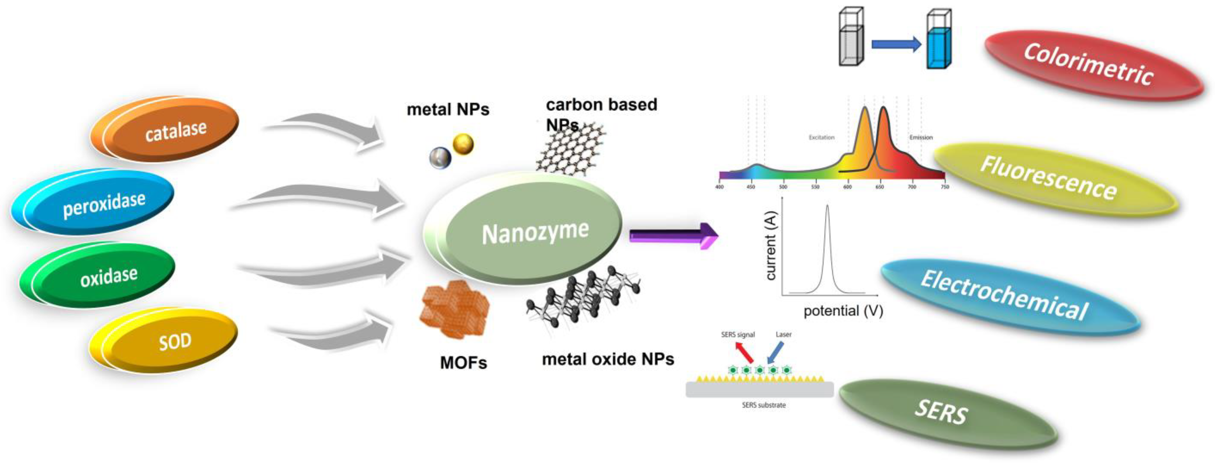 Biosensors 13 00461 g001