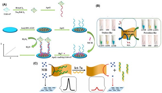 Biosensors 13 00461 g005