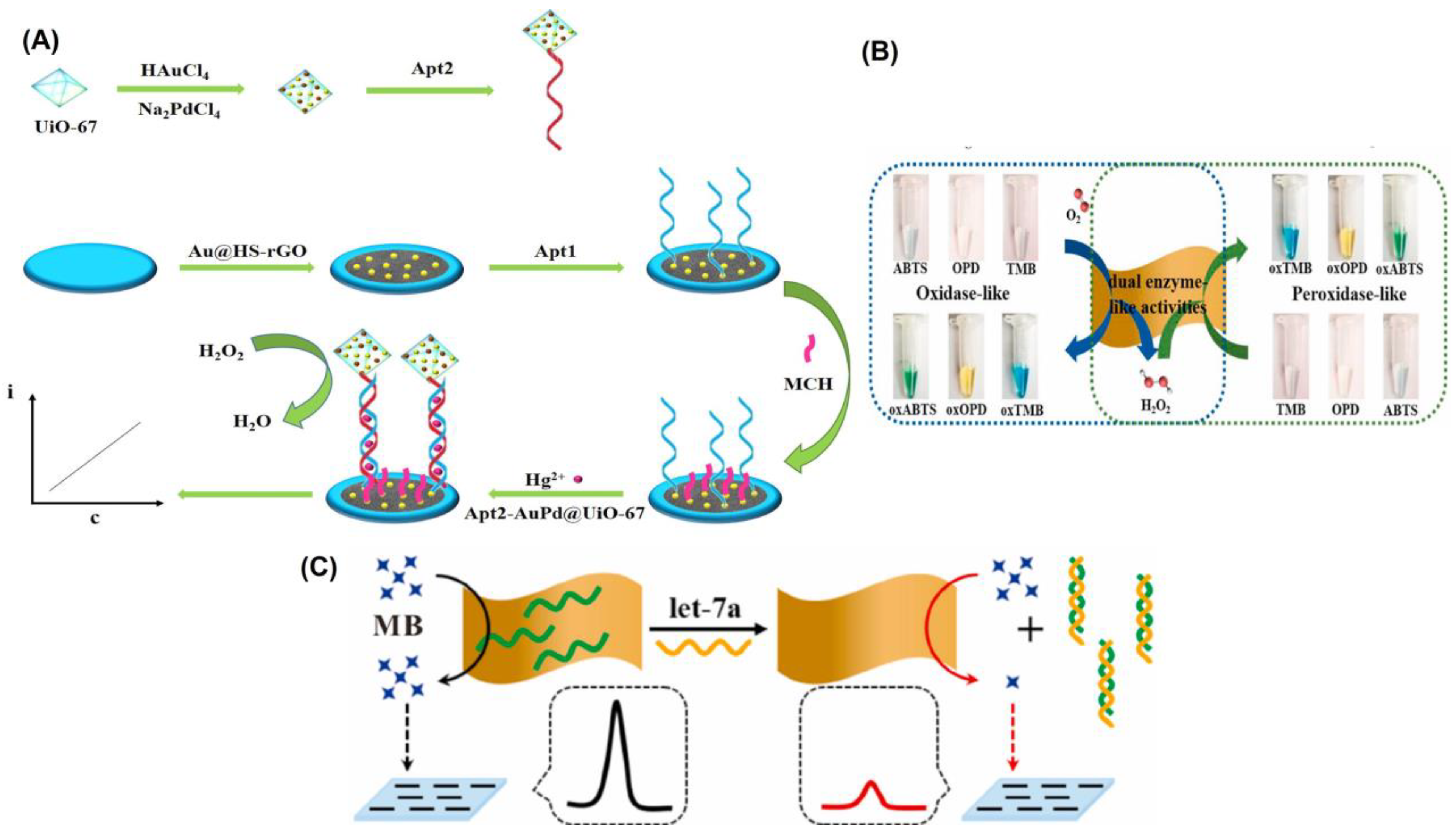 Biosensors 13 00461 g005