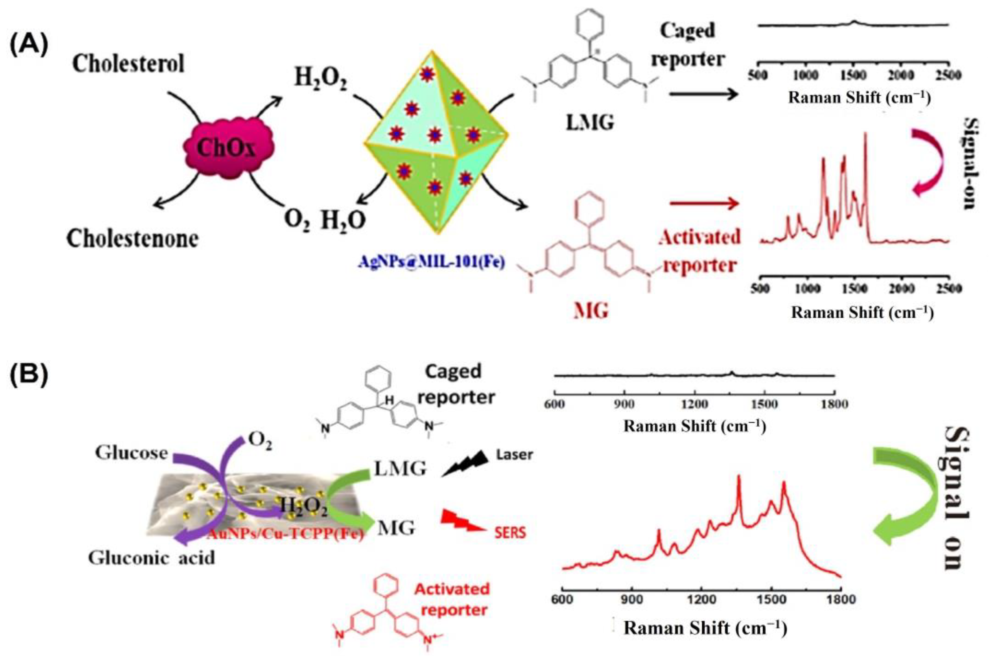 Biosensors 13 00461 g006