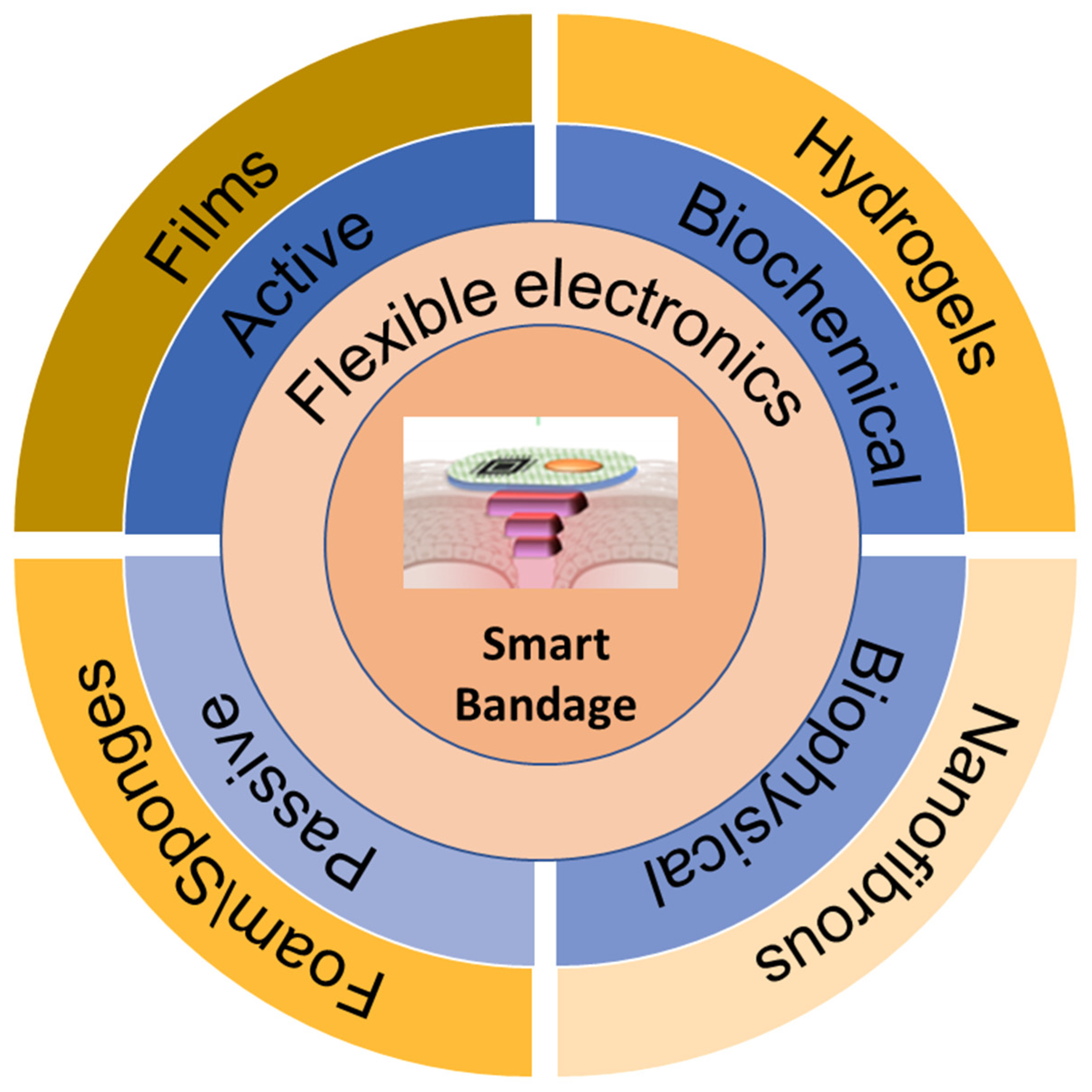 Biosensors 13 00462 g001