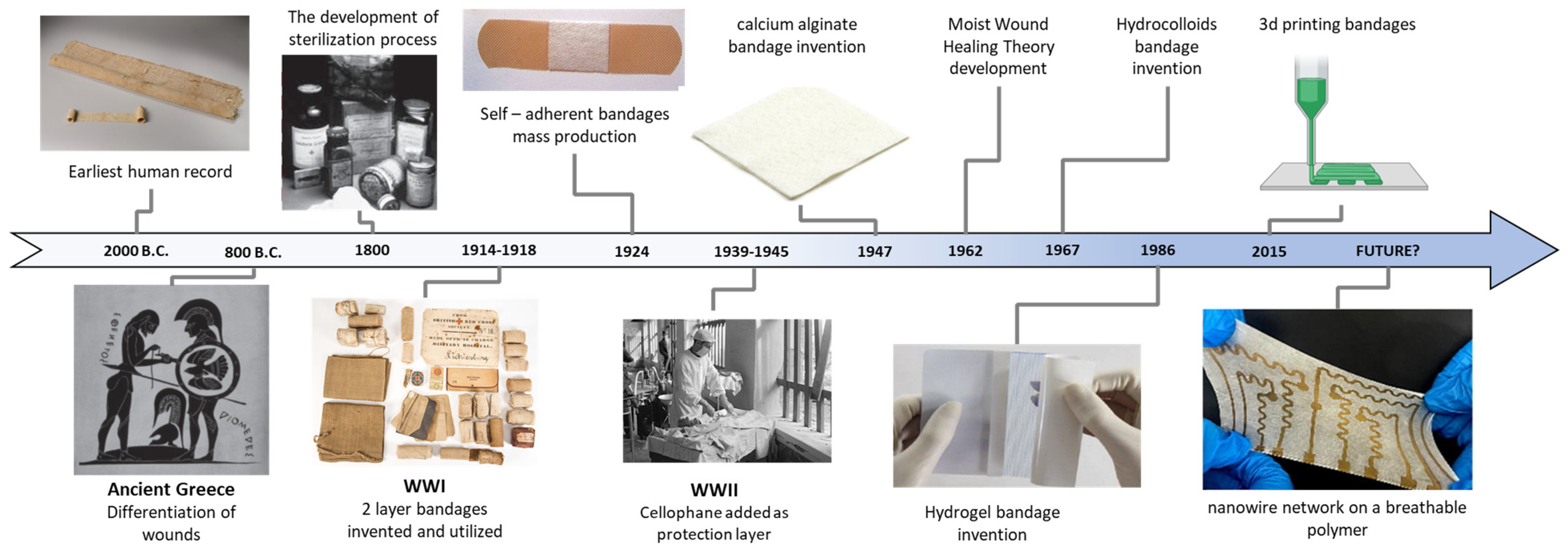 Biosensors 13 00462 g002