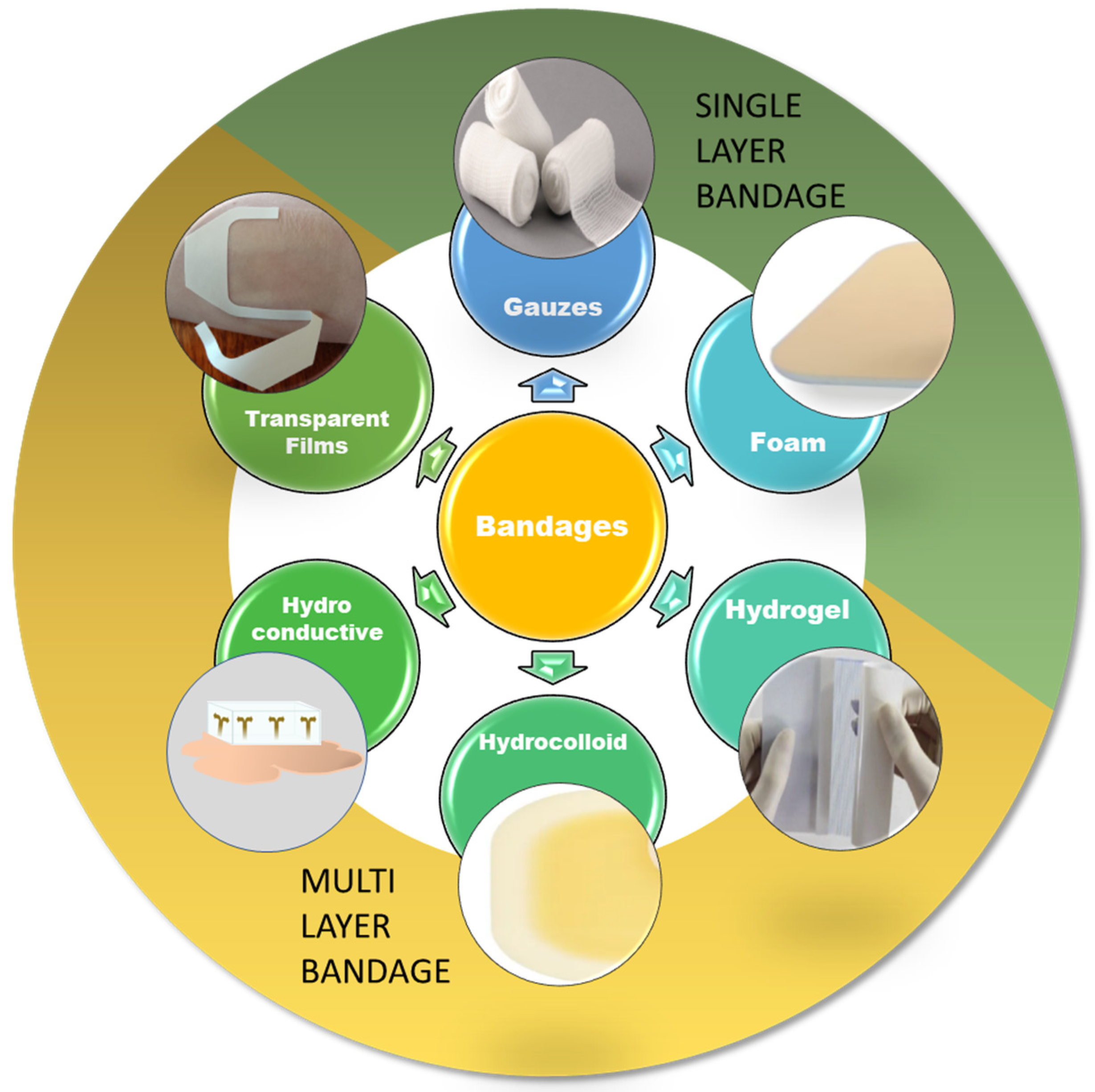 Biosensors 13 00462 g004