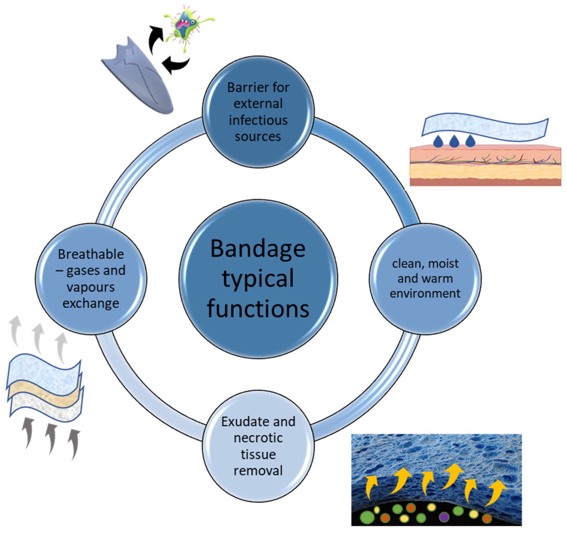 Biosensors 13 00462 g005