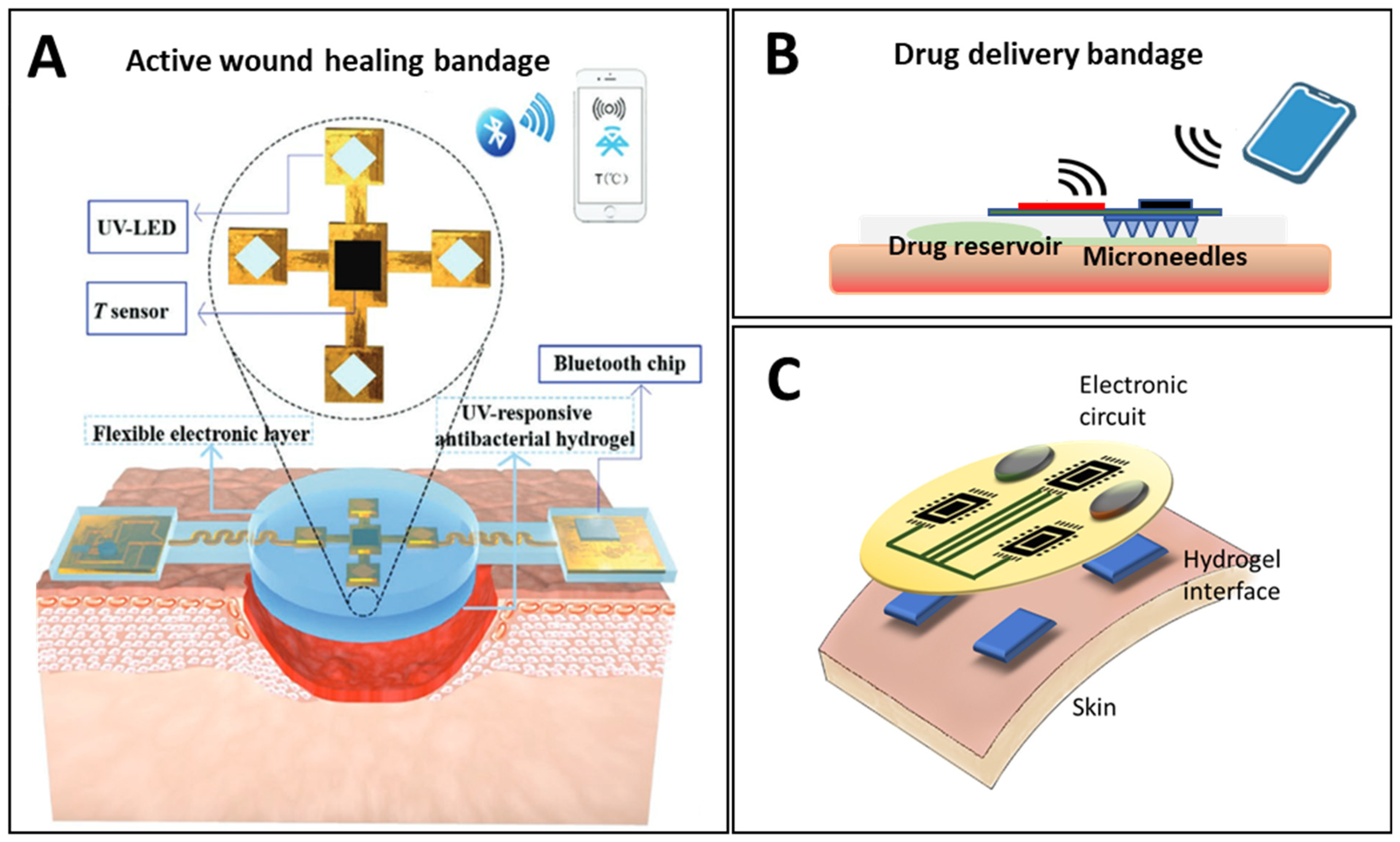 Biosensors 13 00462 g010