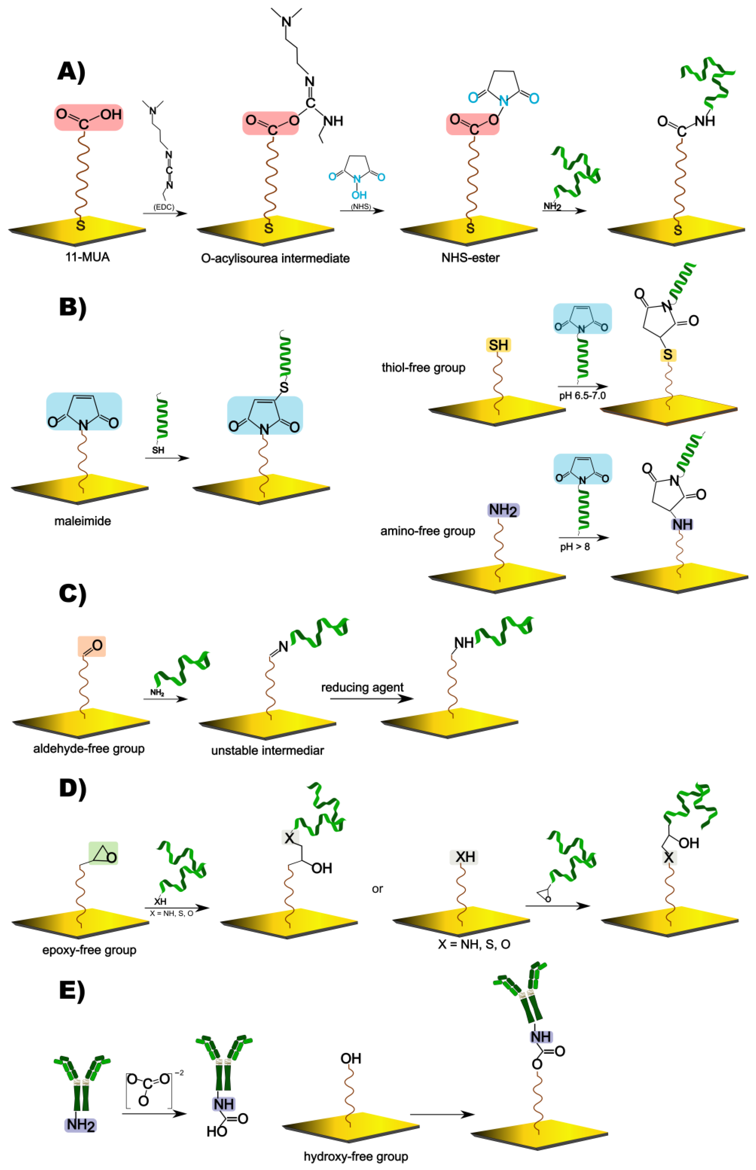 Biosensors 13 00465 g003