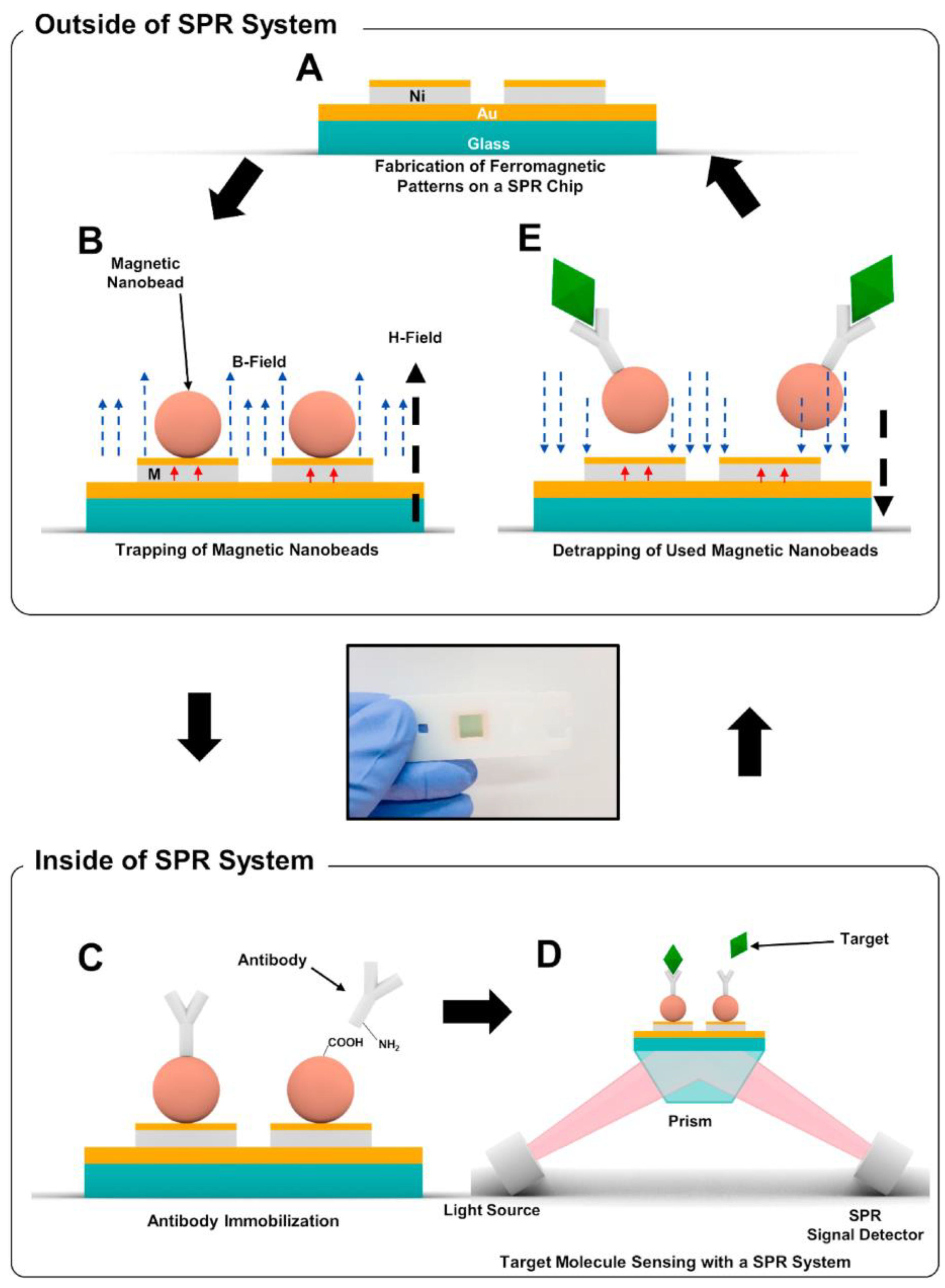 Biosensors 13 00465 g006