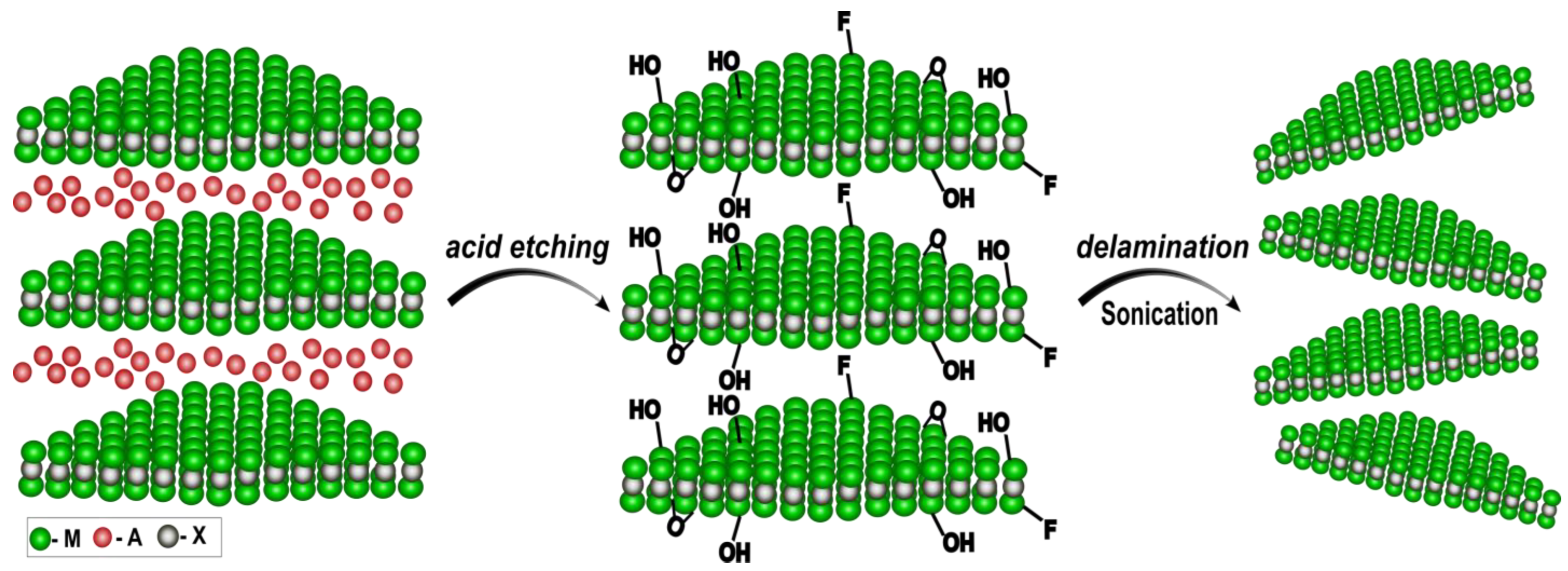 Biosensors 13 00465 g009