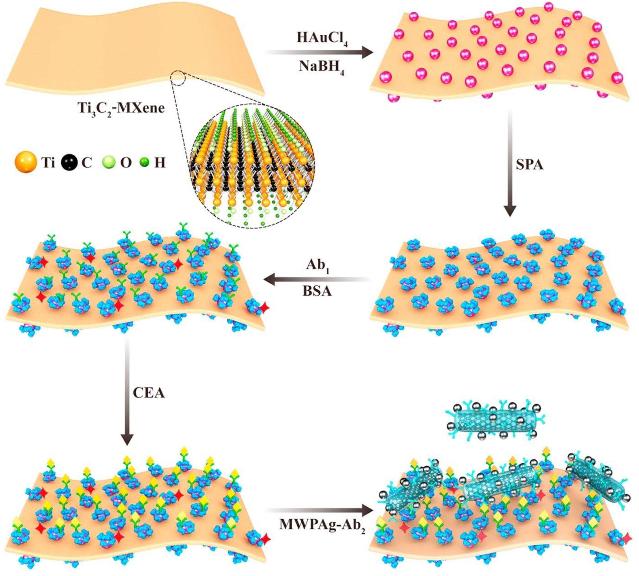 Biosensors 13 00465 g010