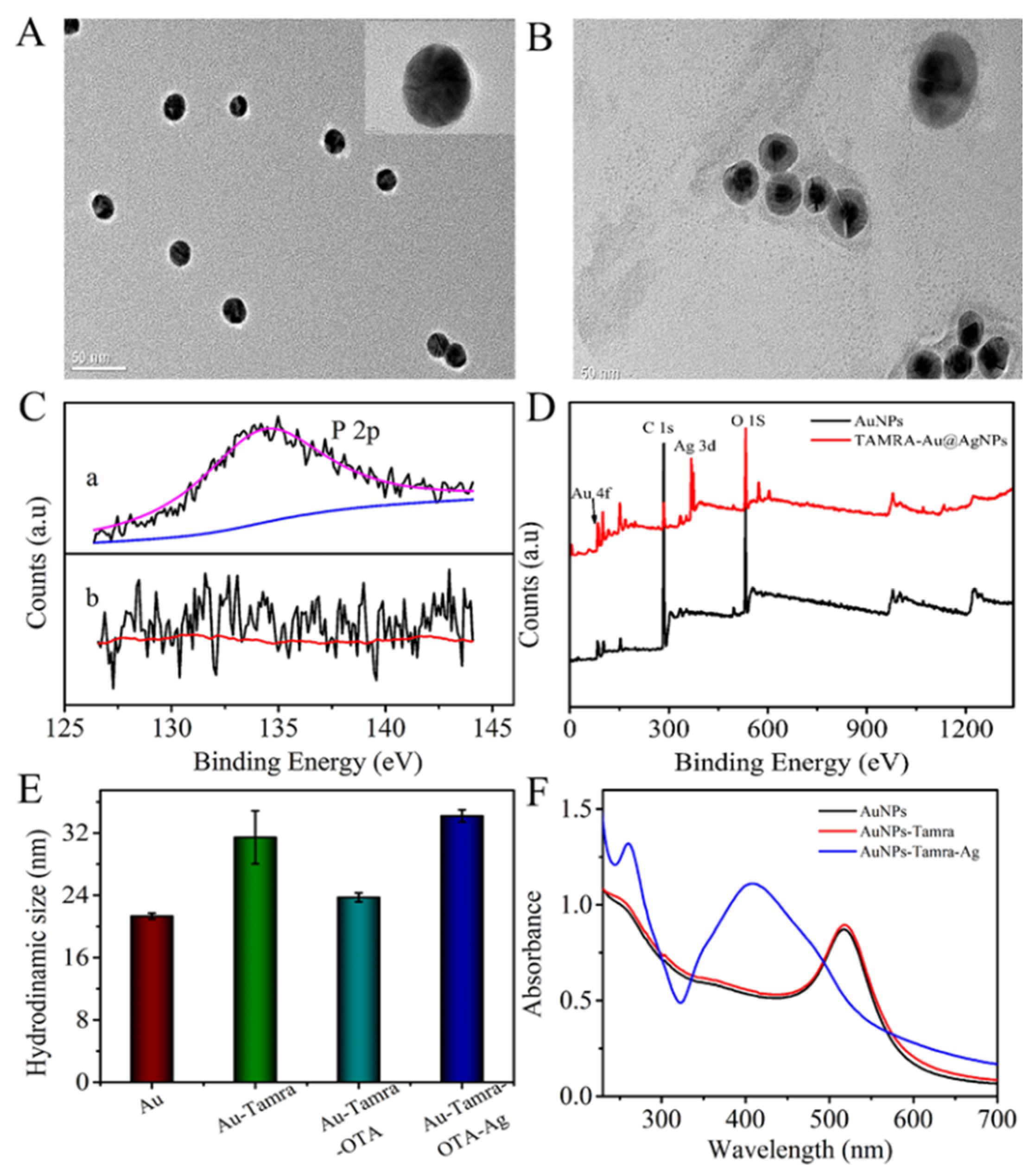 Biosensors 13 00468 g001