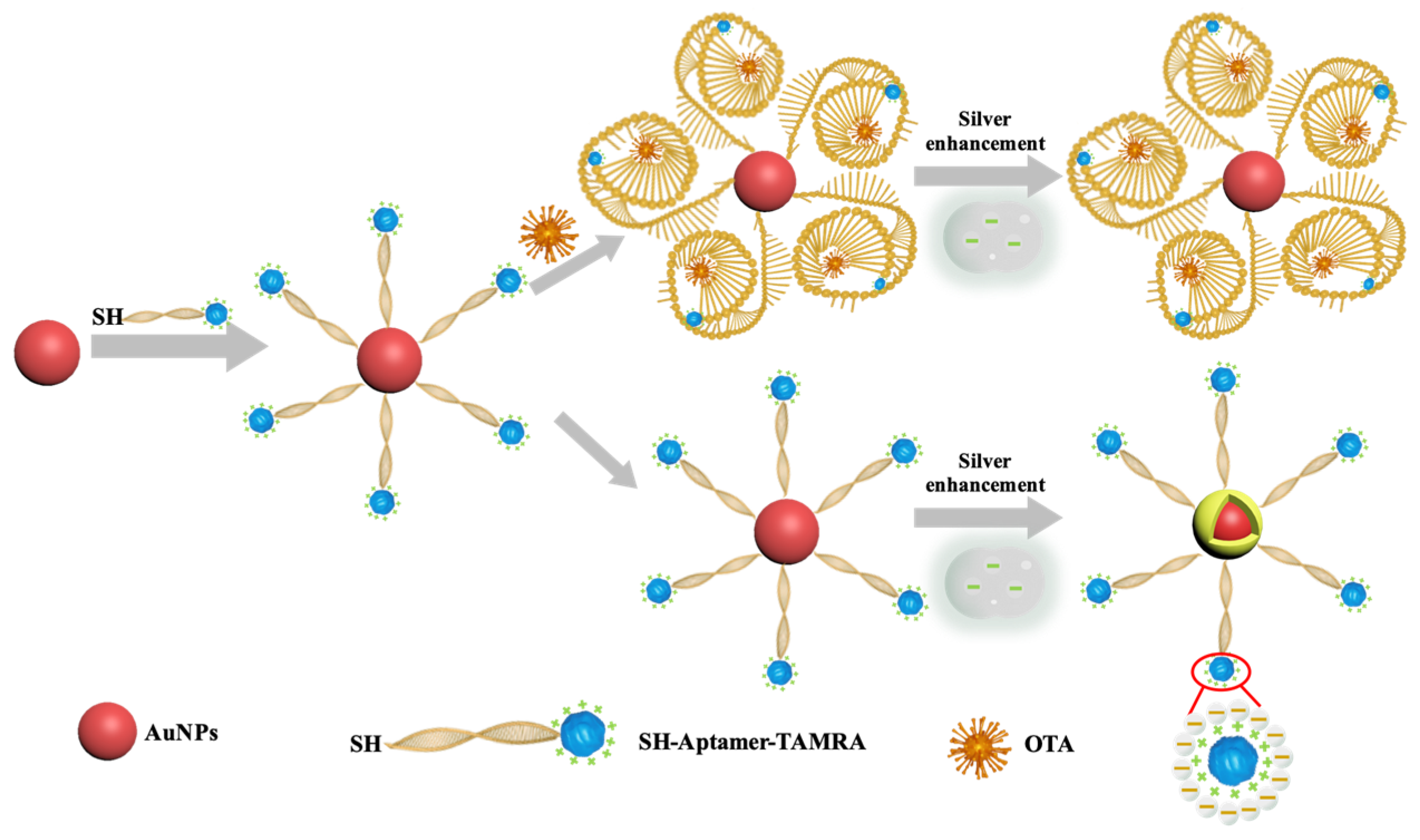 Biosensors 13 00468 sch001