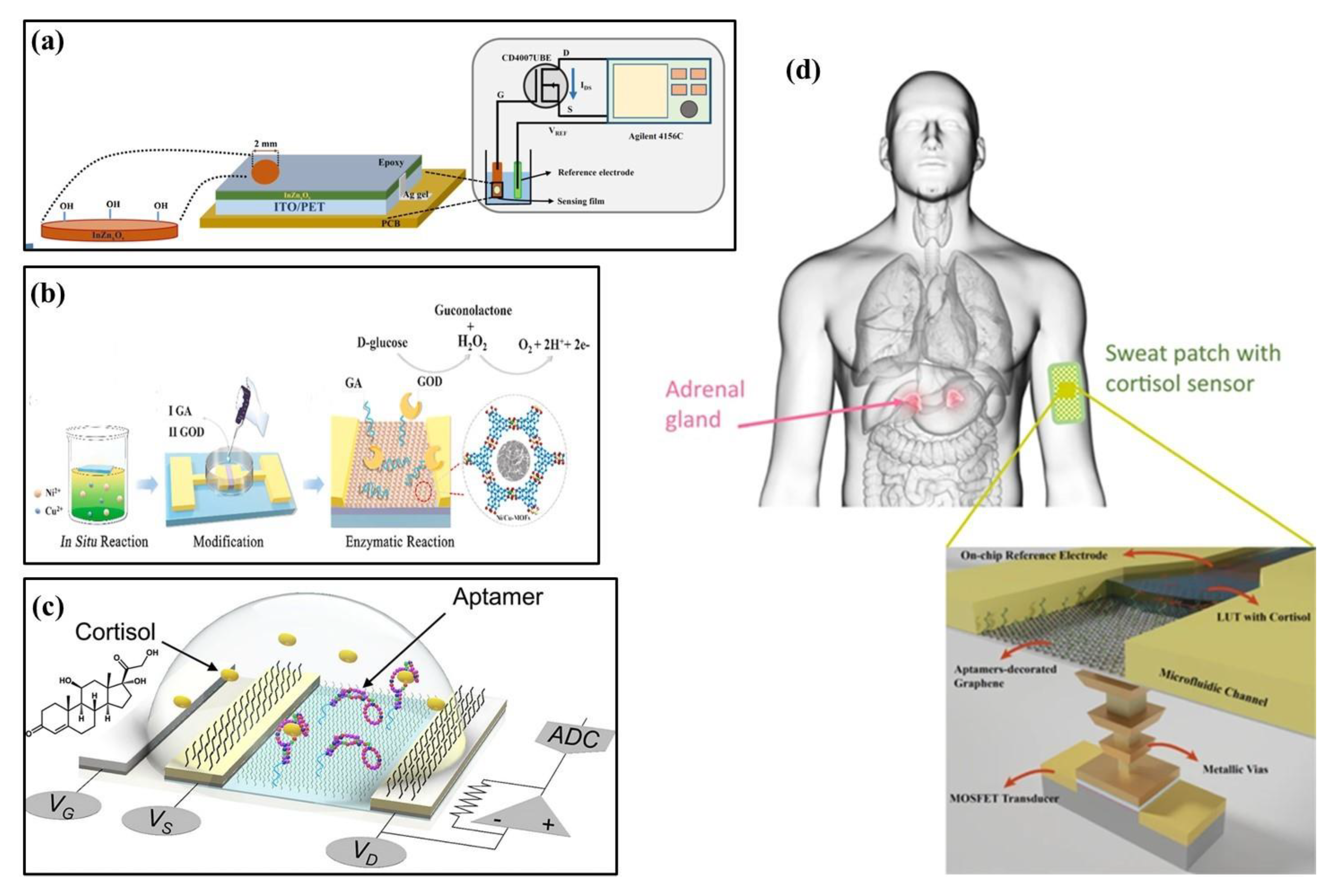 Biosensors 13 00469 g003