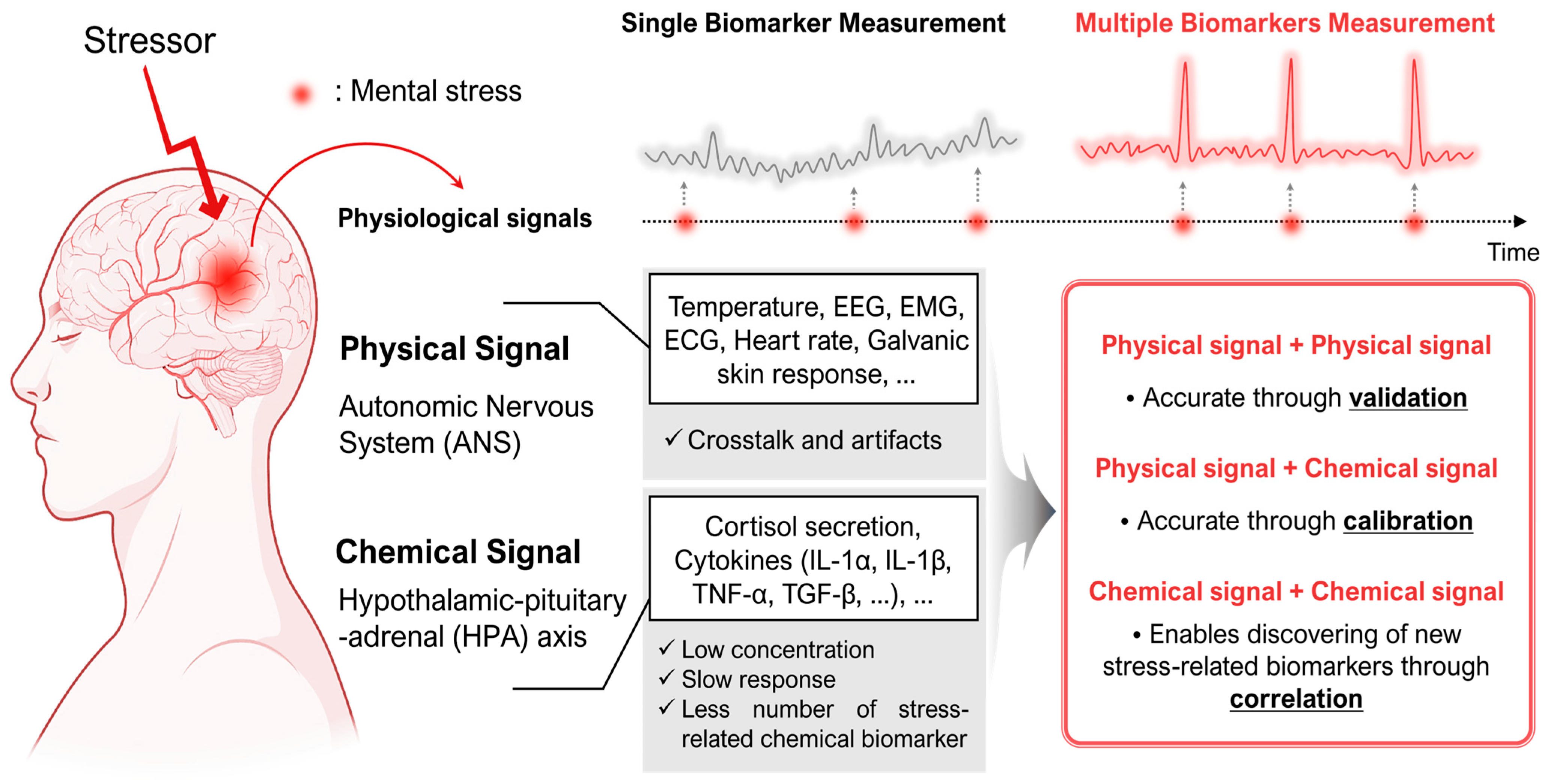 Biosensors 13 00470 g001