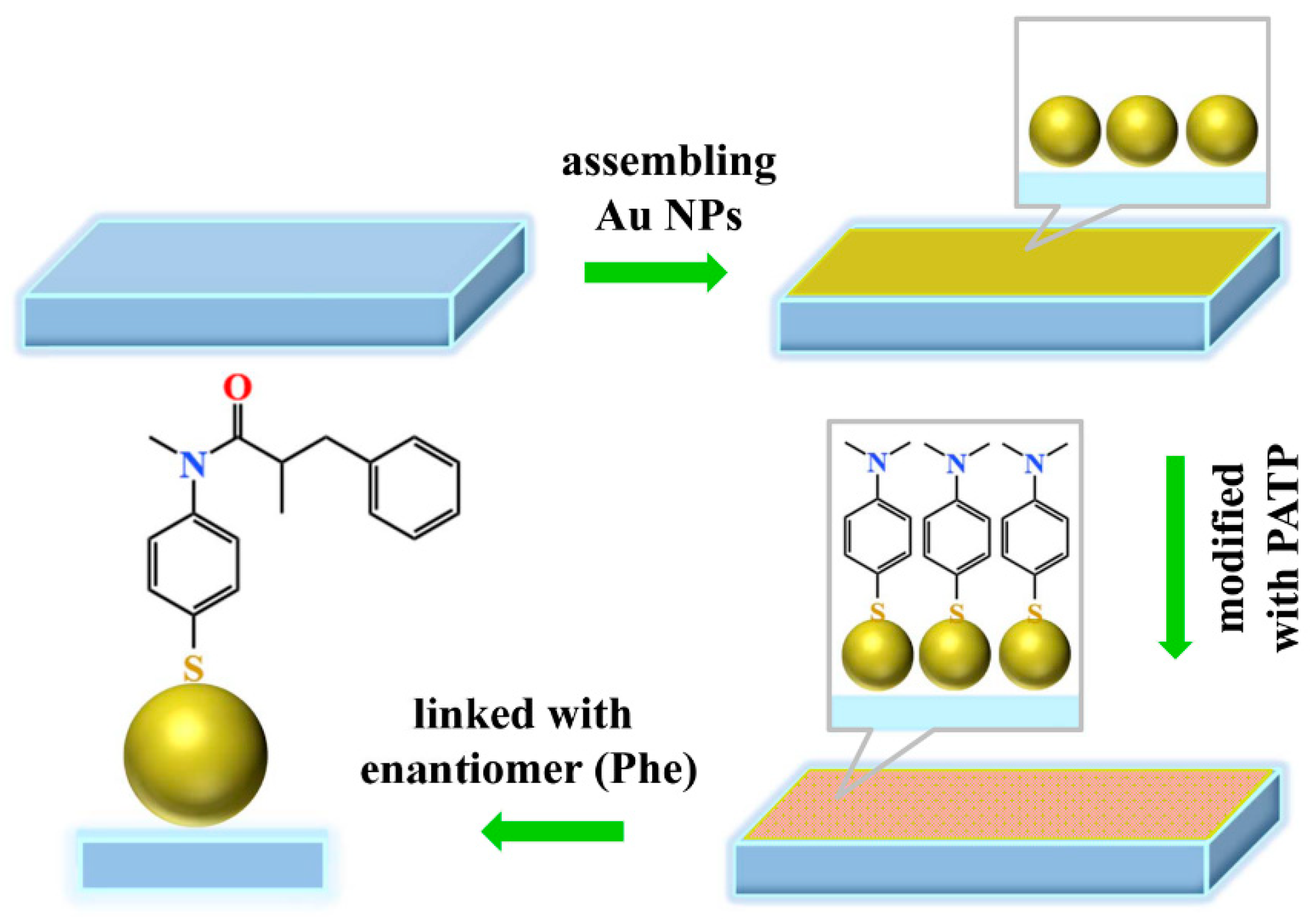 Biosensors 13 00471 g001