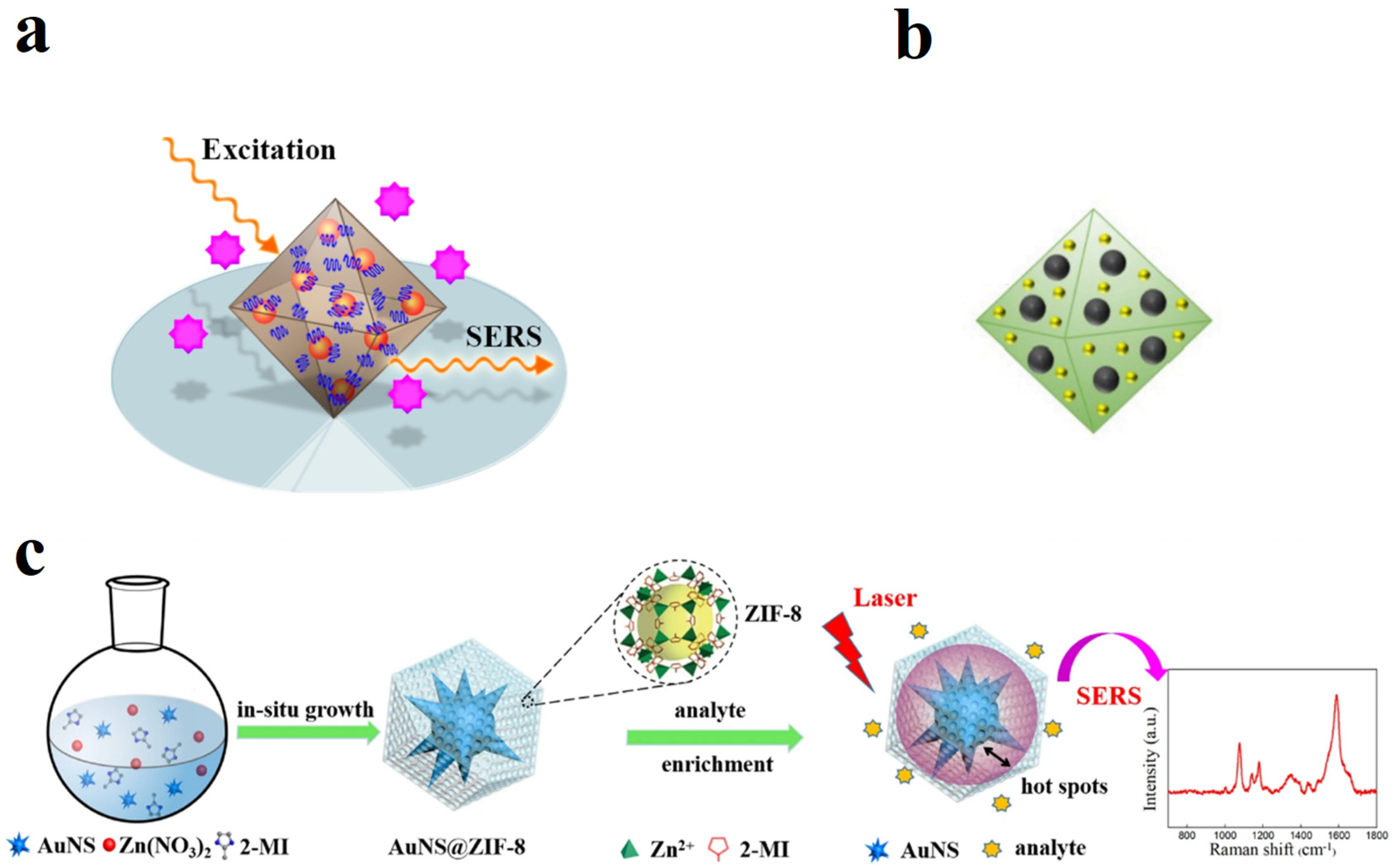 Biosensors 13 00479 g003