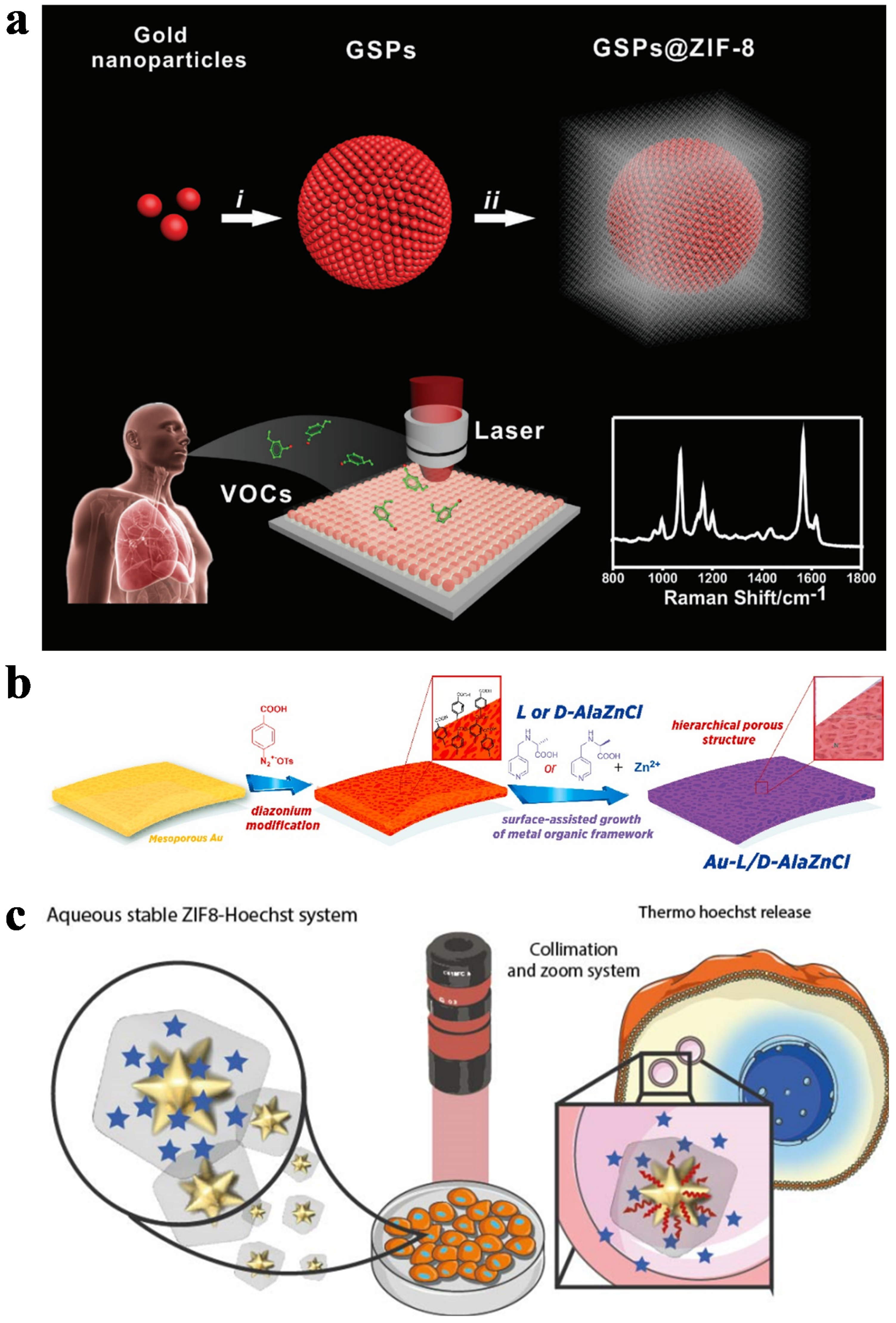 Biosensors 13 00479 g004